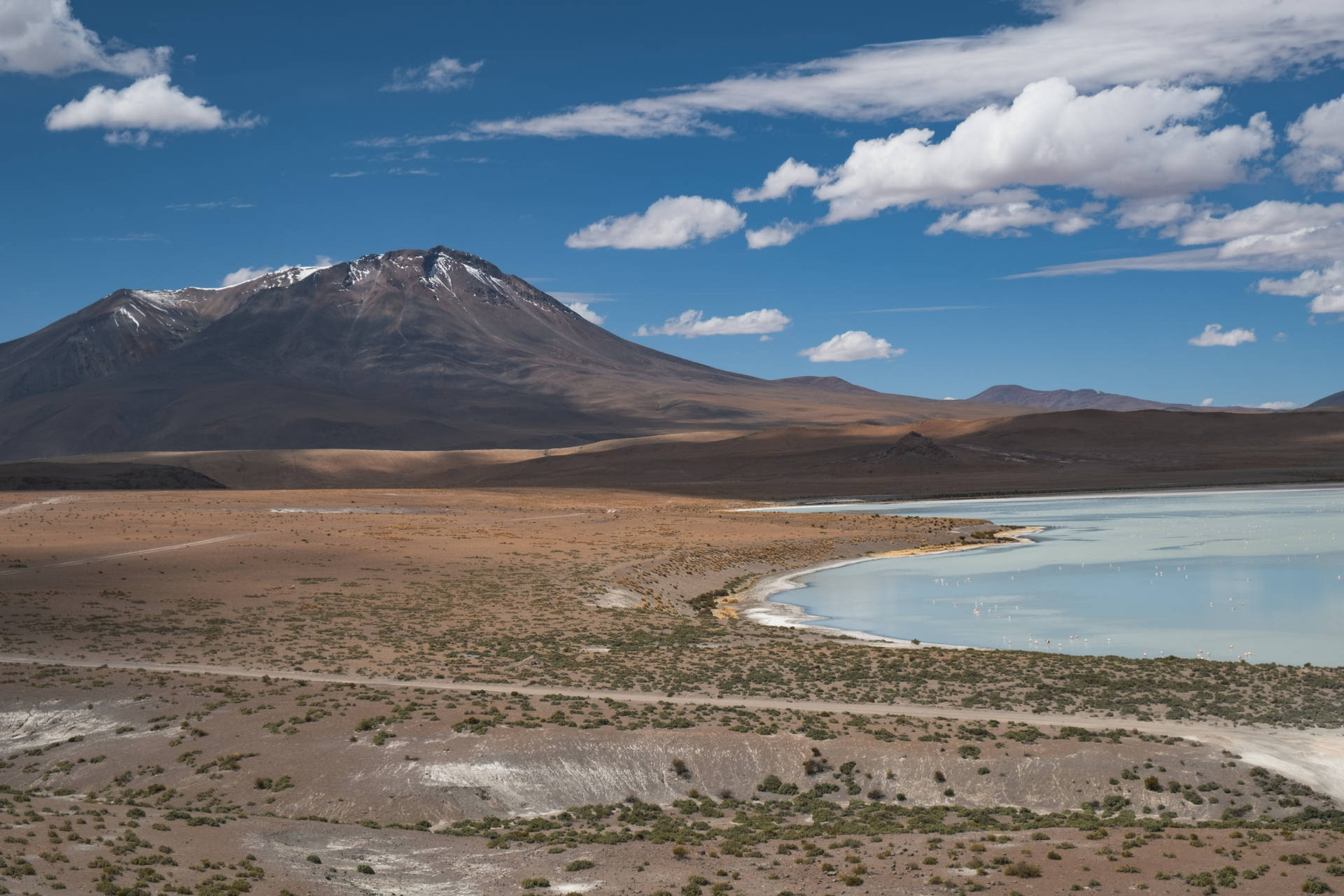 Bolivia Sud Lípez Volcano Background