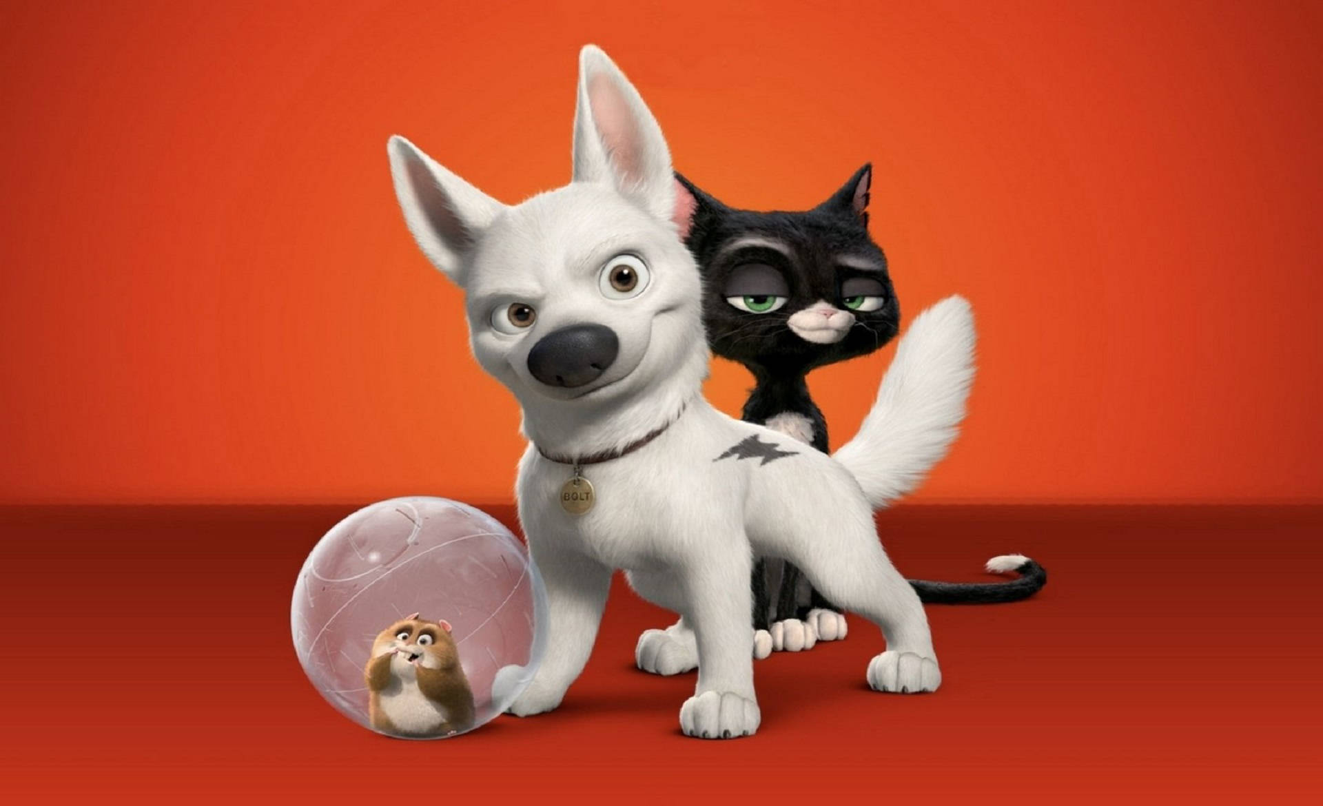 Bolt And Friends In Orange Background