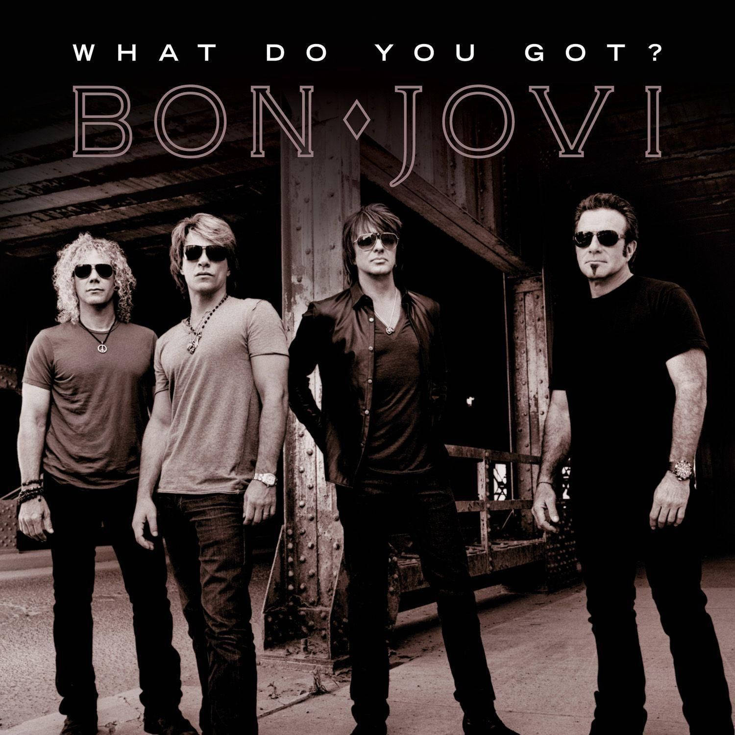 Bon Jovi What Do You Got Single Background