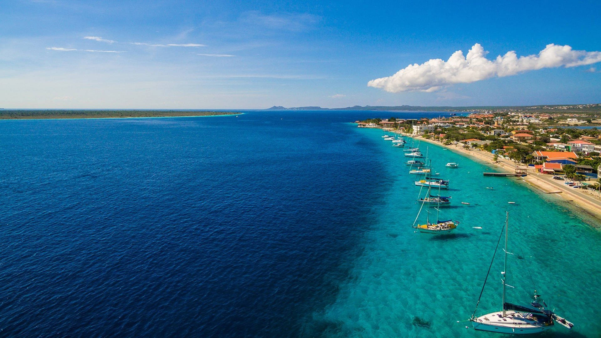 Bonaire Blue Sea Background