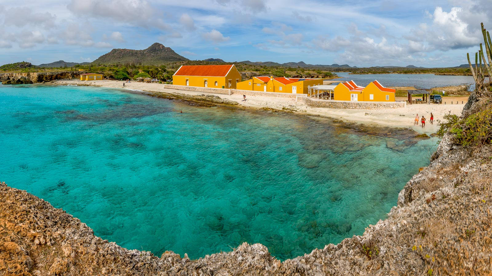 Bonaire National Park Background