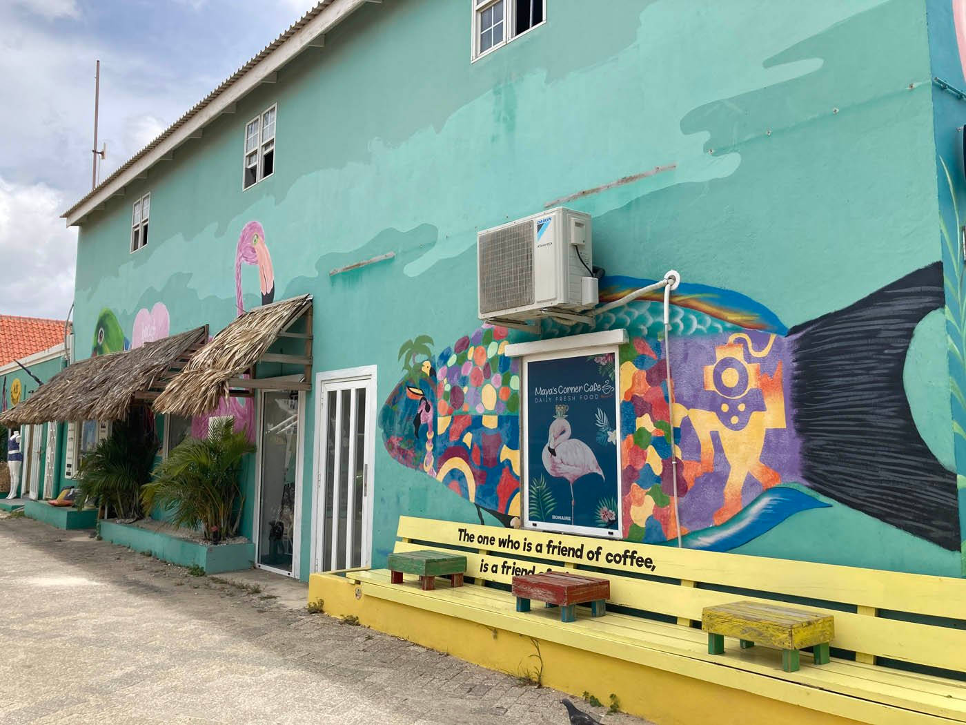 Bonaire Painted House Background