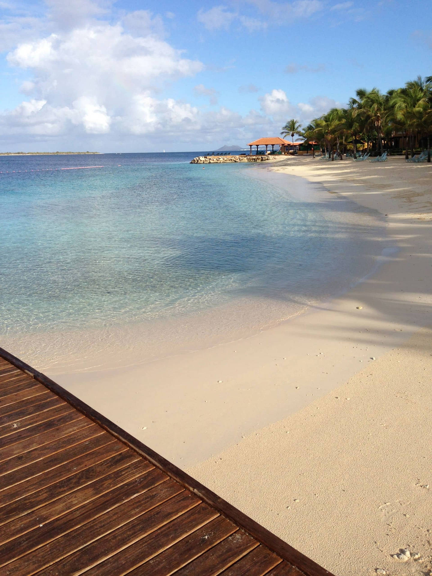 Bonaire Sand By Sea Background