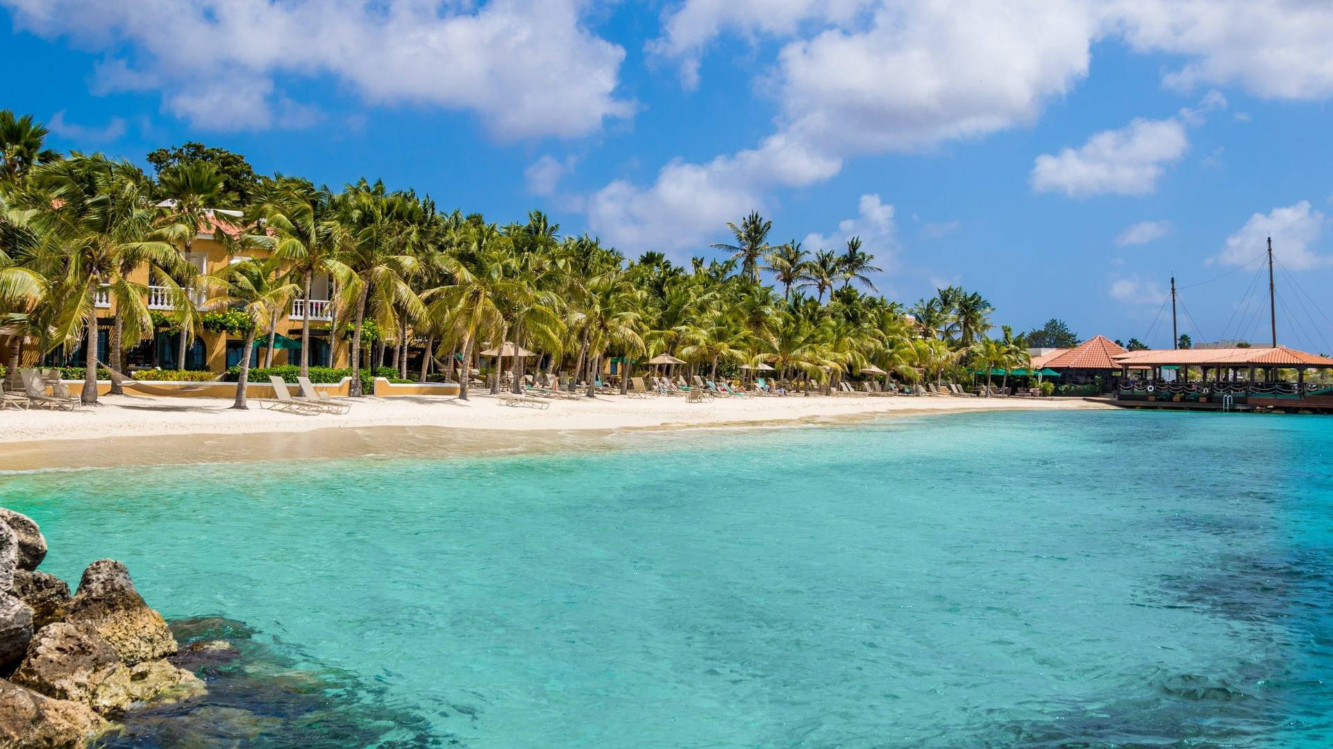 Bonaire Trees Near Sea Background