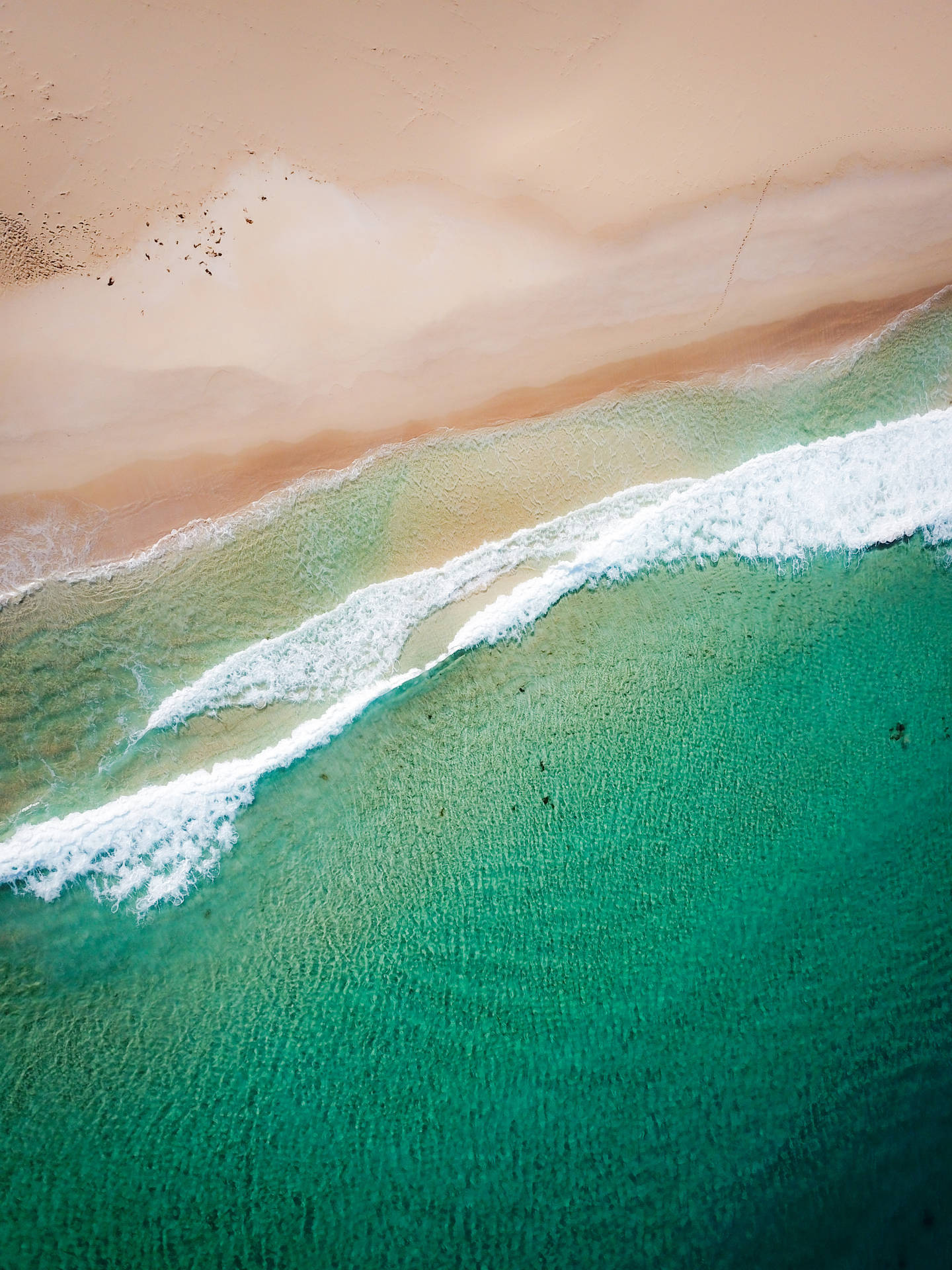 Bondi Beach Australia Iphone Background