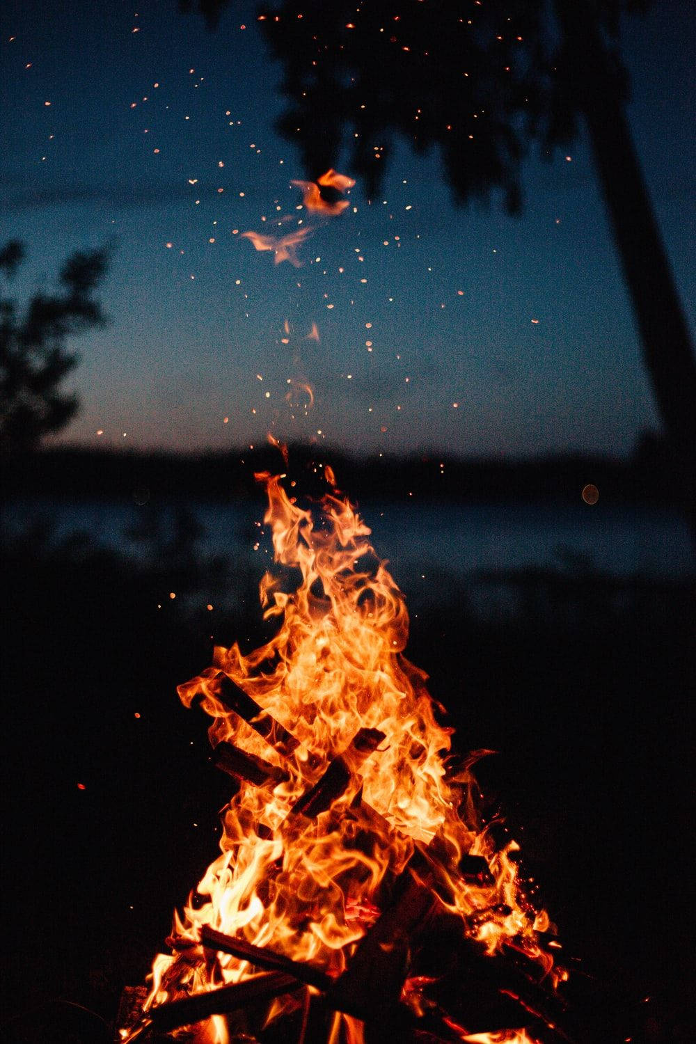 Bonfire Night Fire Background Background