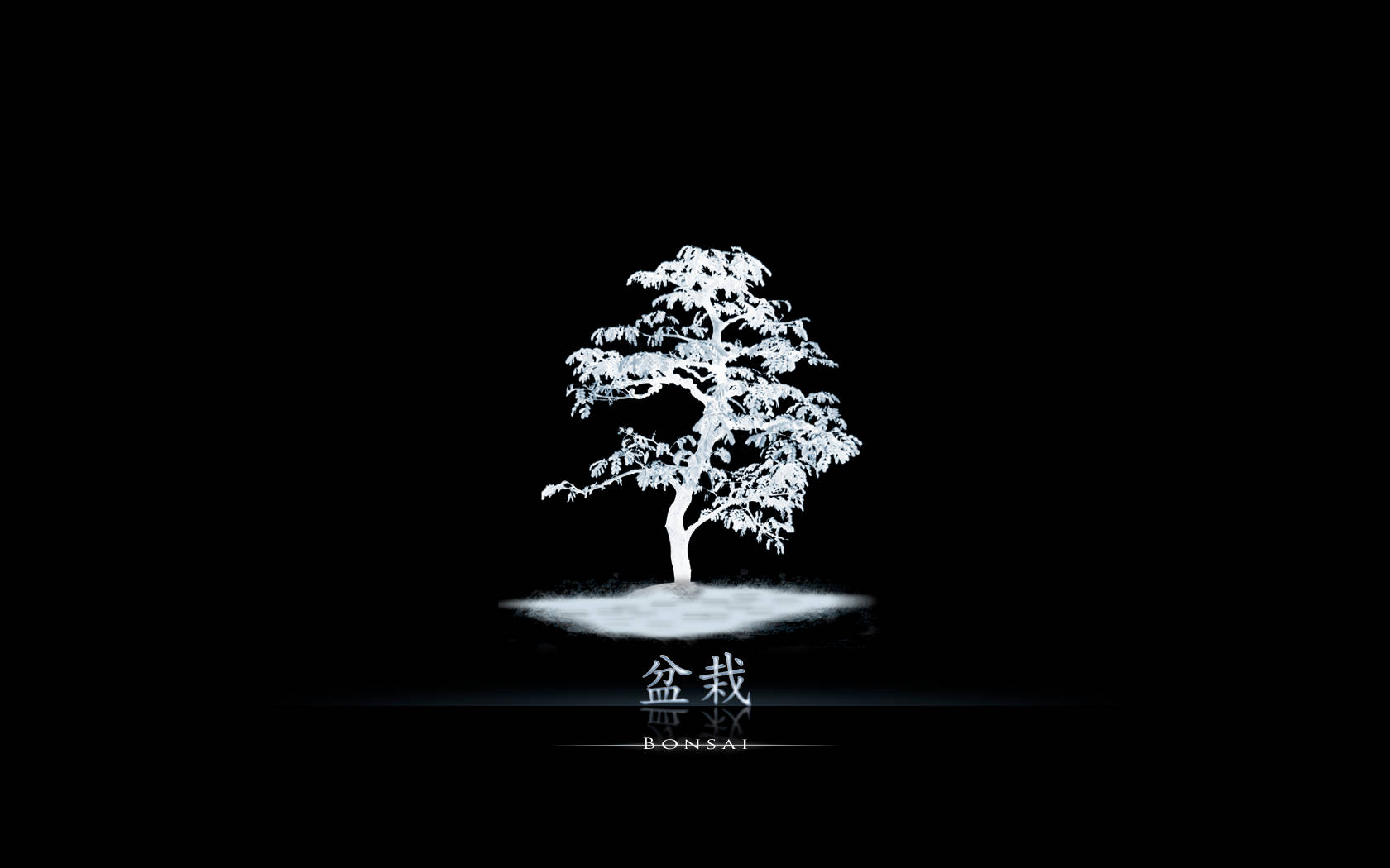 Bonsai Japanese Tree Digital Art