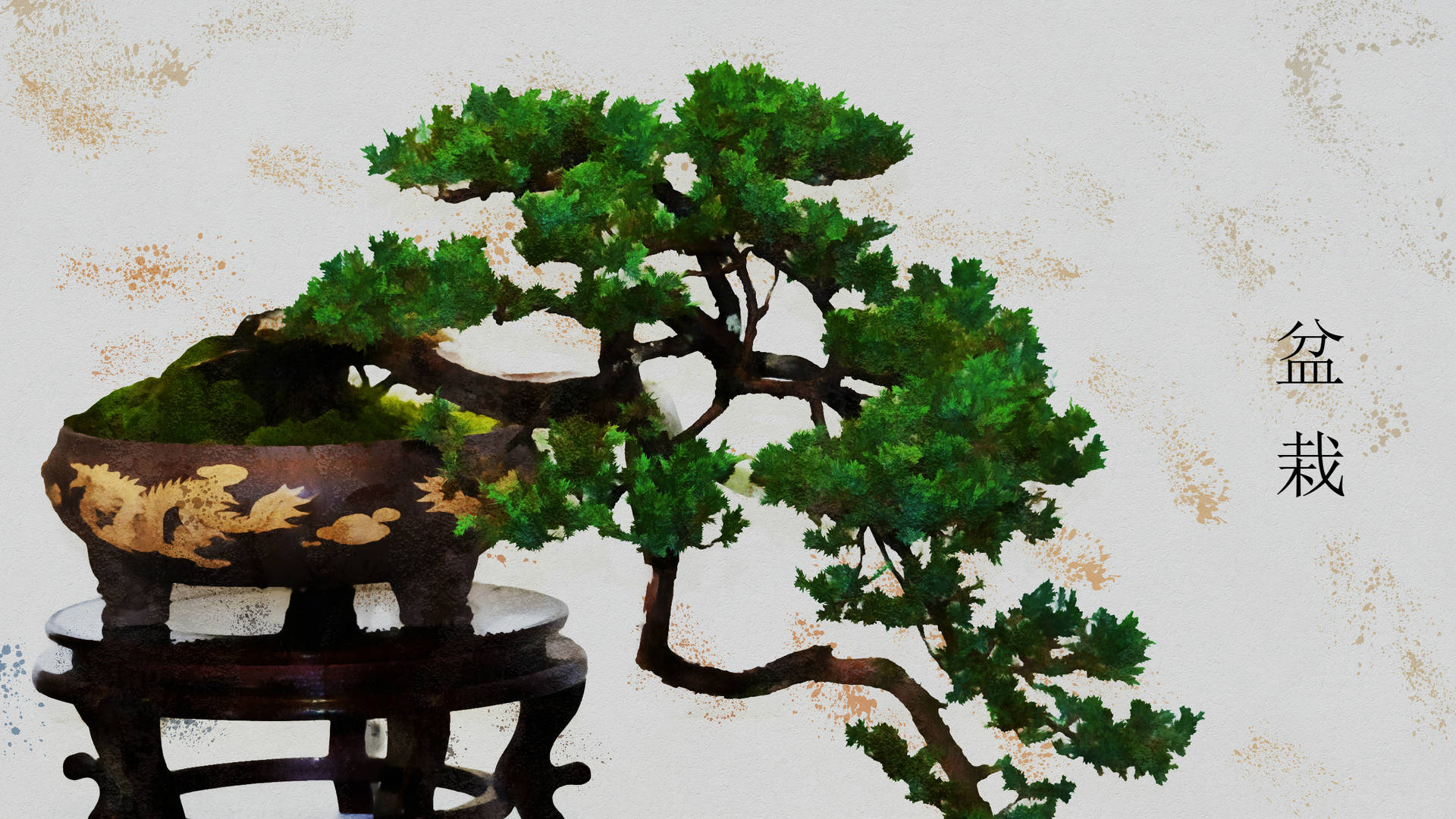 Bonsai Tree Kengai Style Plant Photography Background