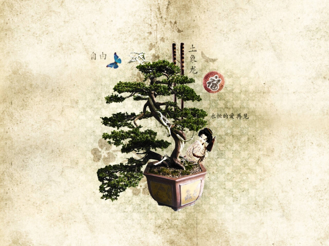 Bonsai Tree Moyogi Style Plant Photography