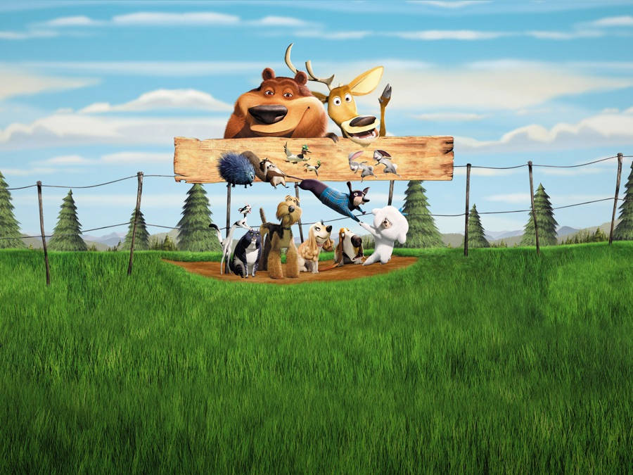 Boog And Friends Open Season Background