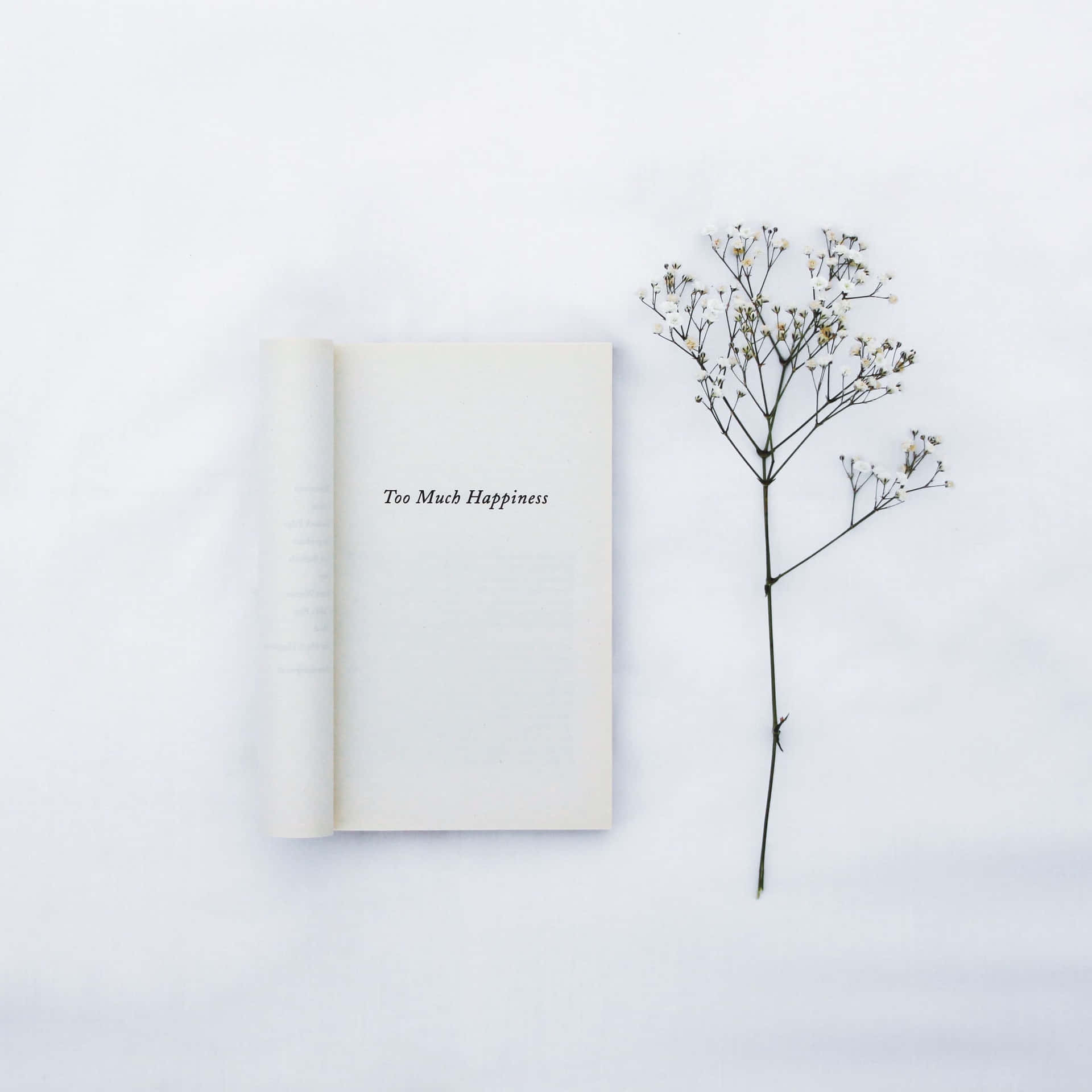 Book Aesthetic White Ipad Background