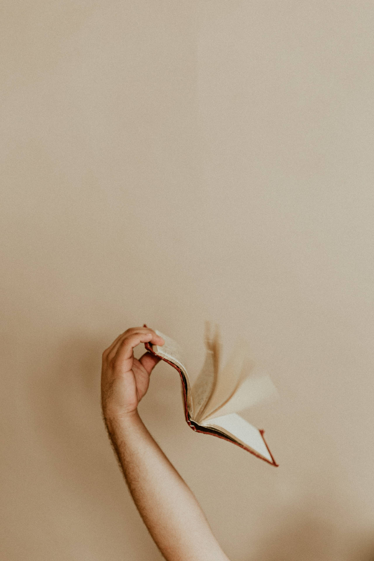 Book And Beige Wall