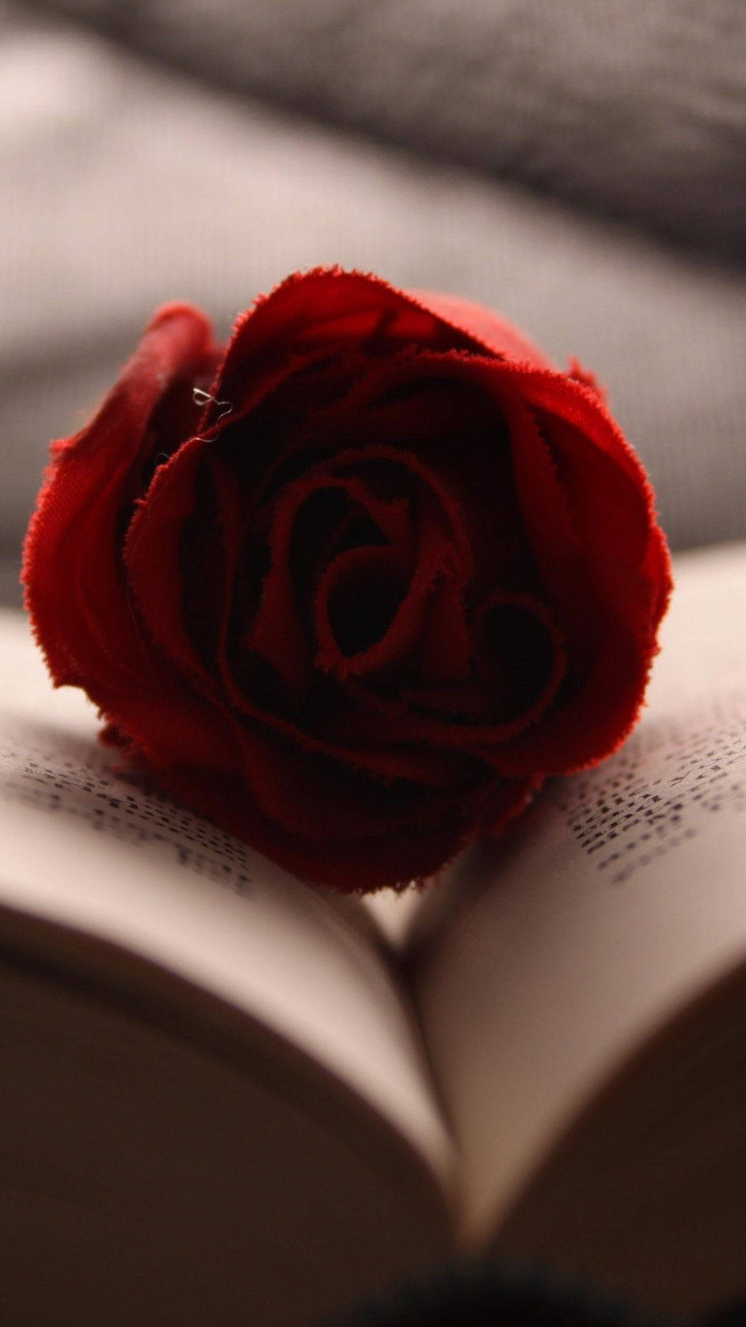 Book And Red Rose Iphone Background