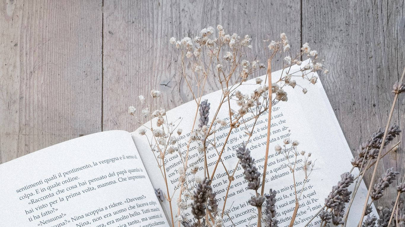 Book Dried Flowers Aesthetic