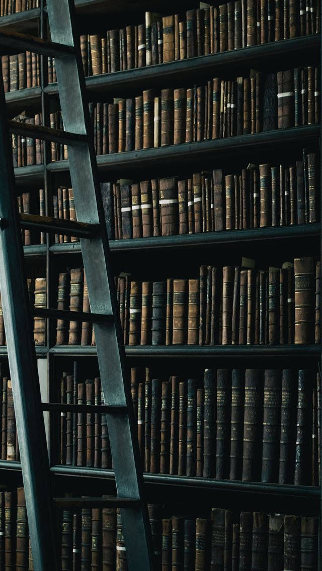 Books And Ladder Iphone Dark