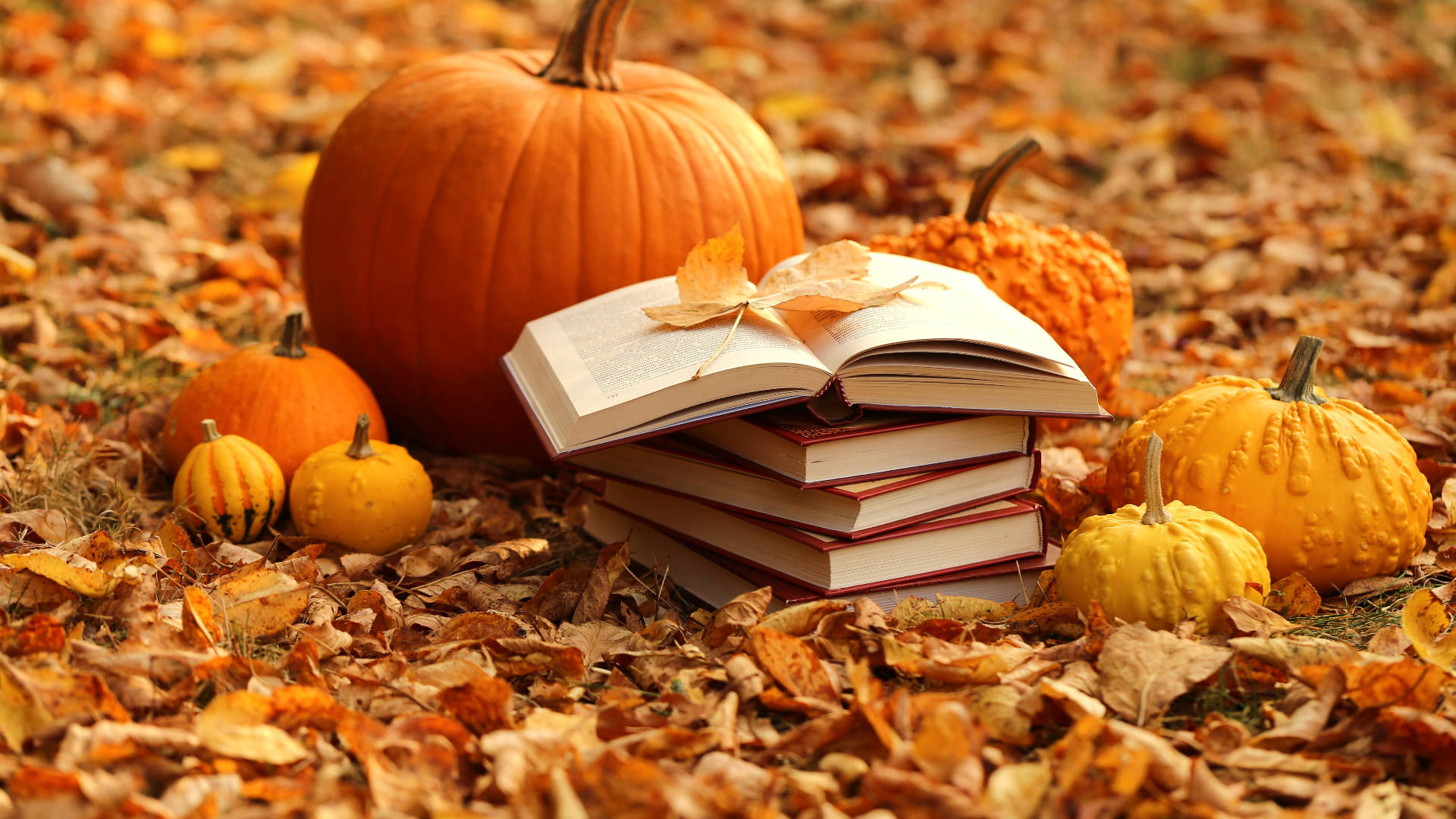 Books And Pumpkins For Autumn Macbook Background