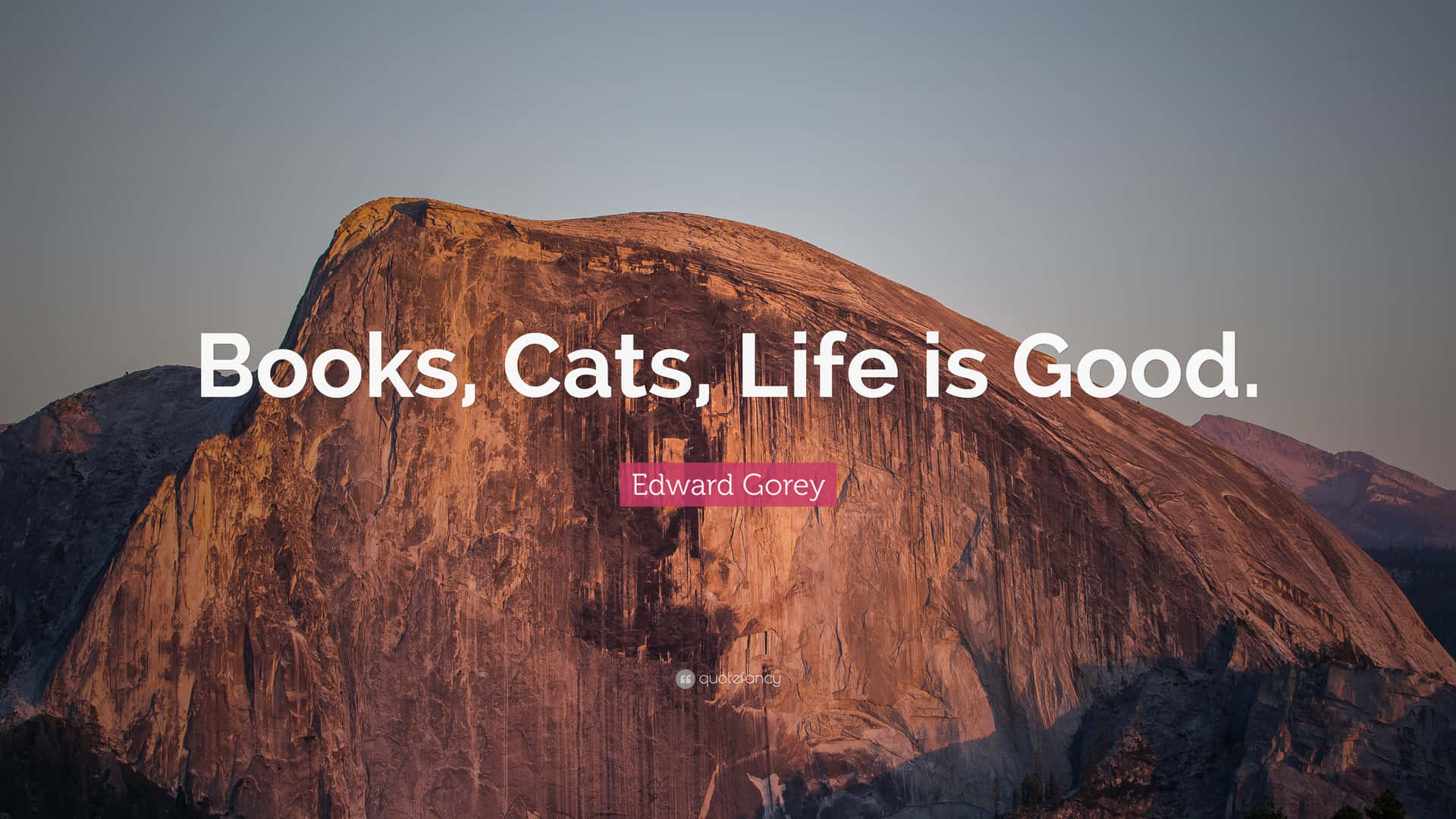 Books Cats Life Good