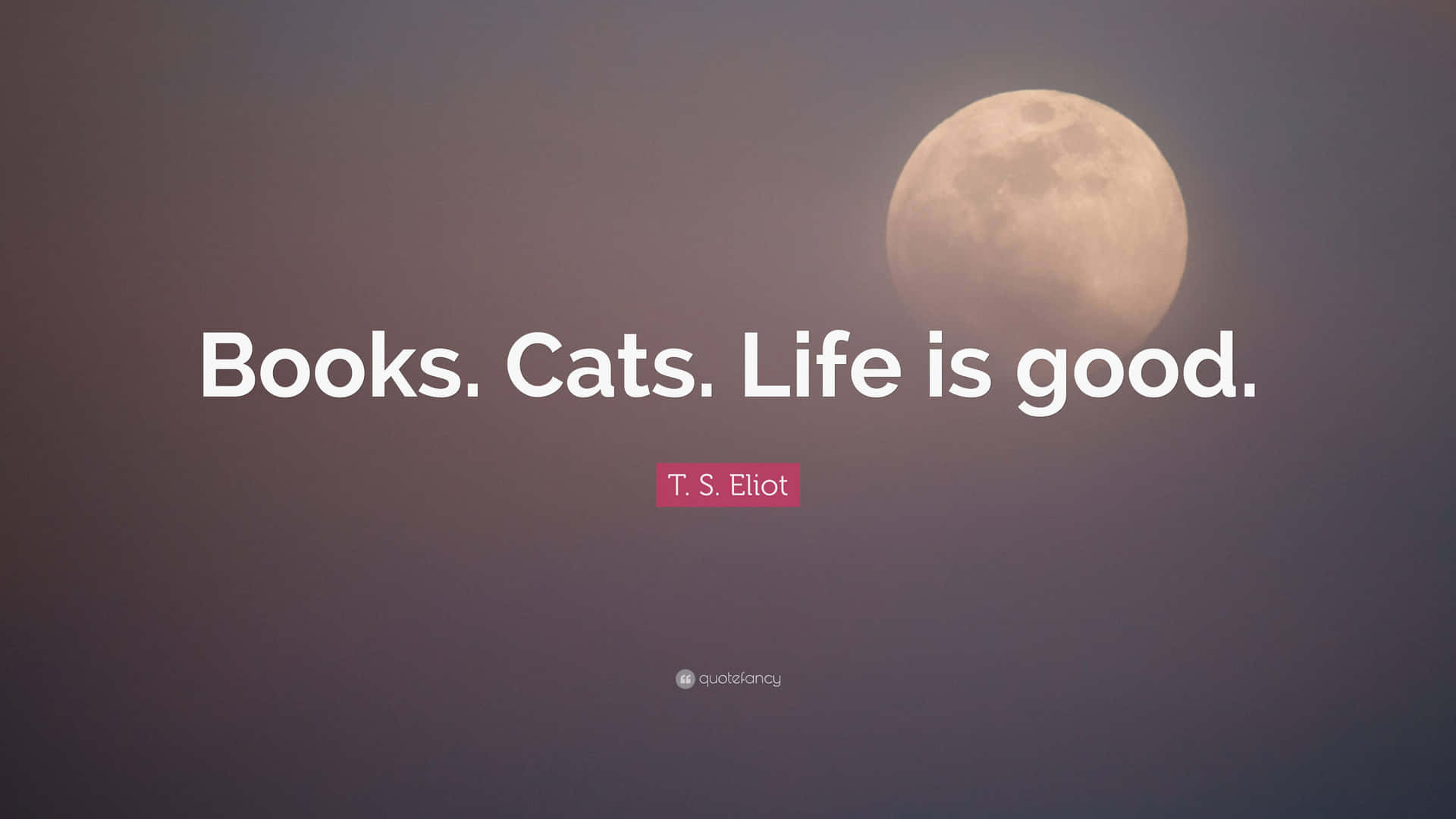 Books Cats Life Is Good Quote