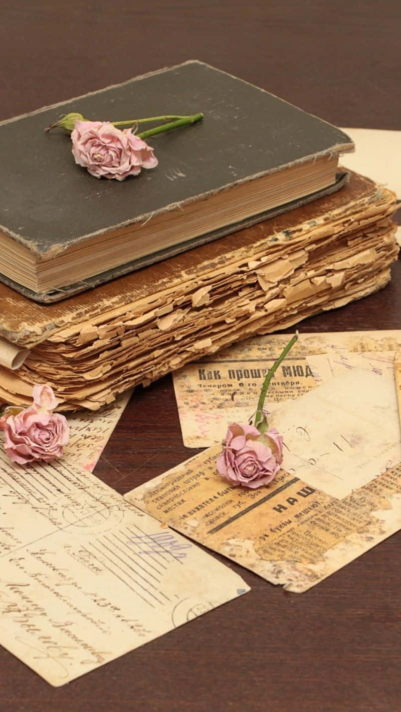 Books Iphone Pink Rose Old Papers