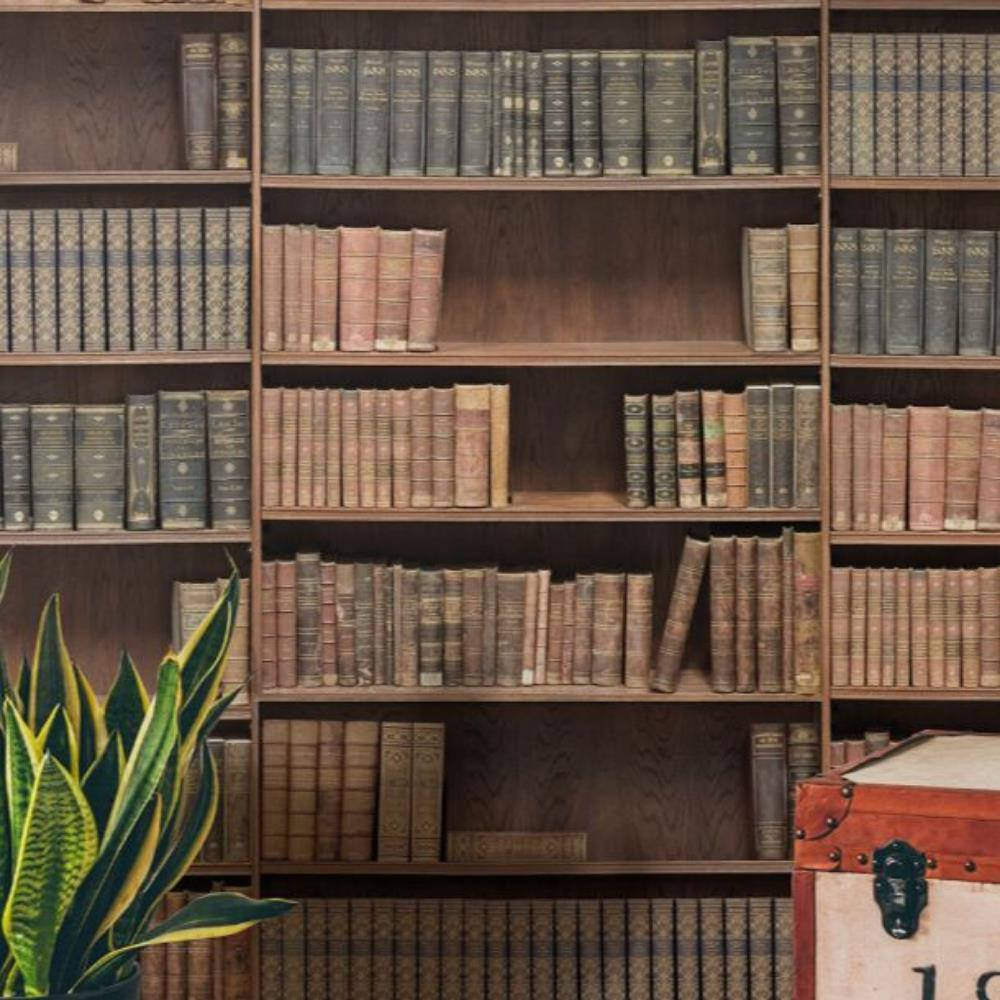 Bookshelf Antique Books Background