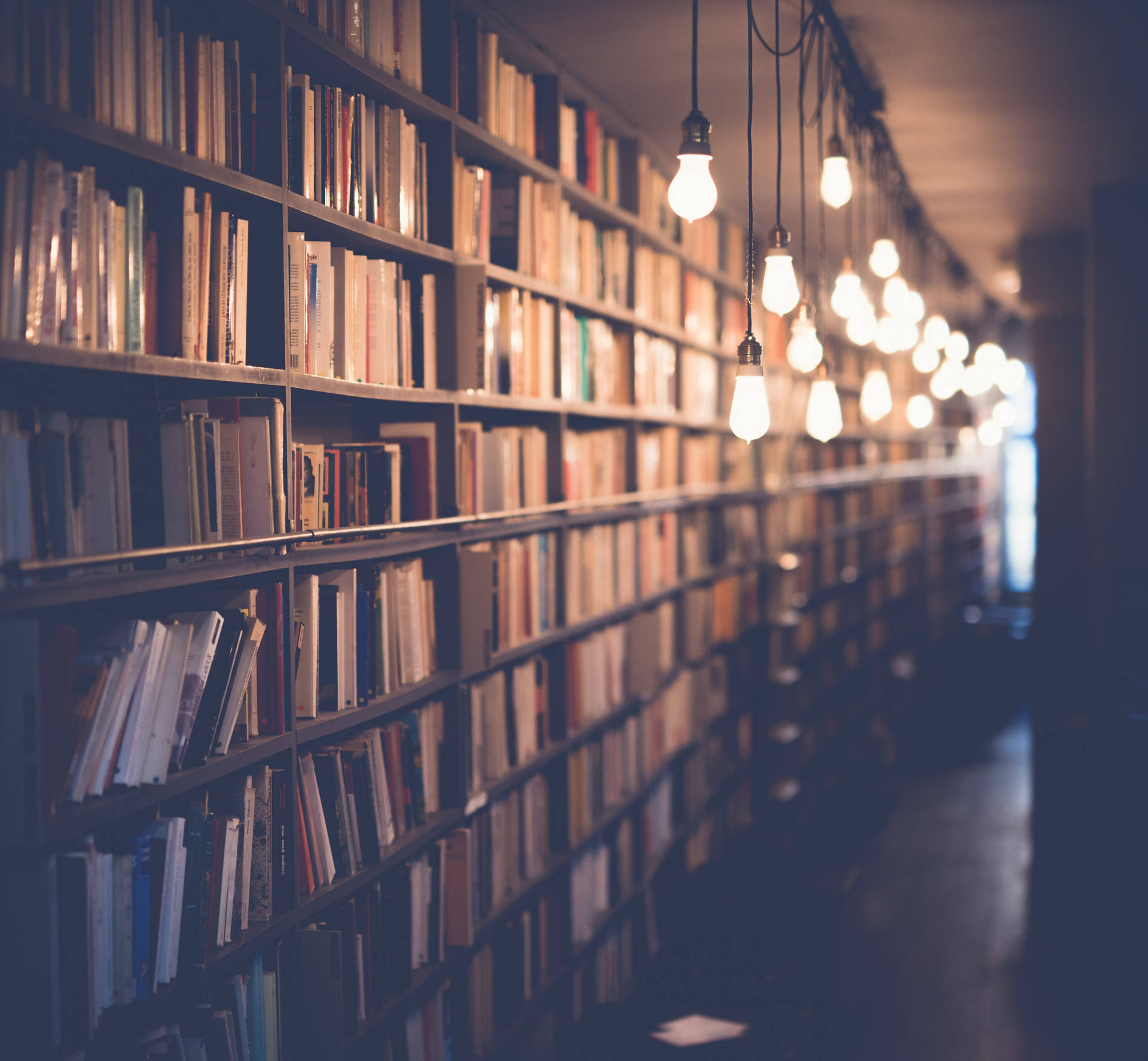 Bookshop Night Light Background