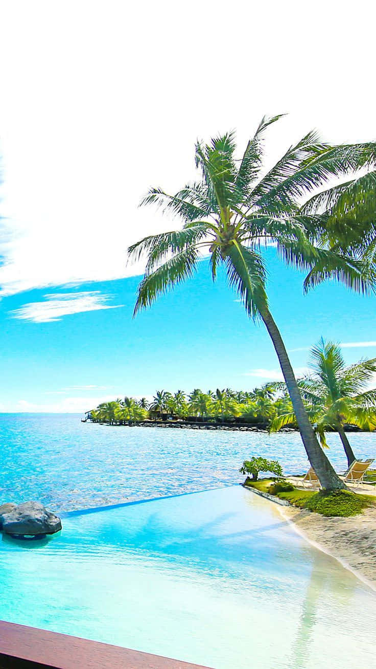 Bora Bora 736 X 1308 Wallpaper Background