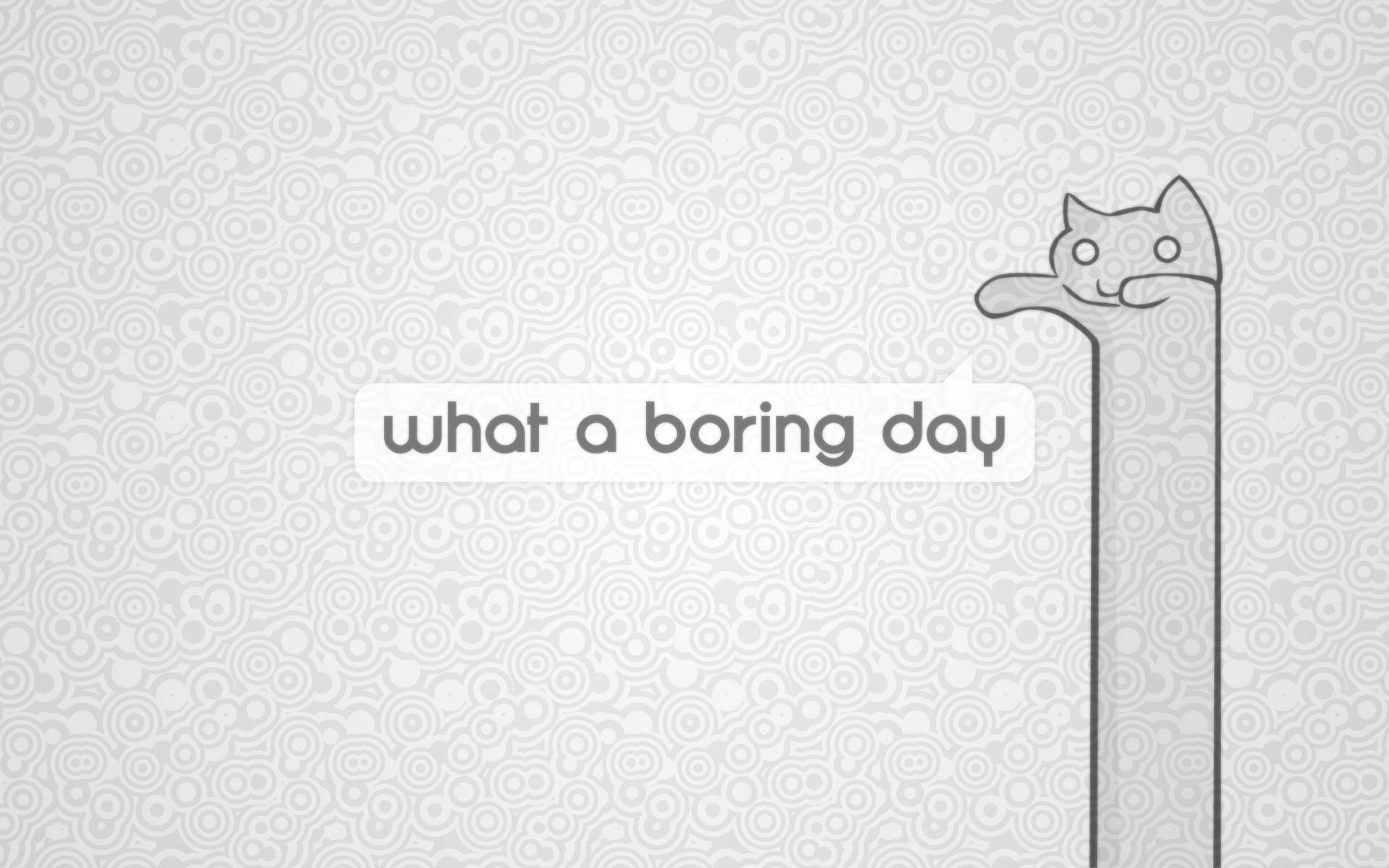 Boring Day Cartoon Cat Art