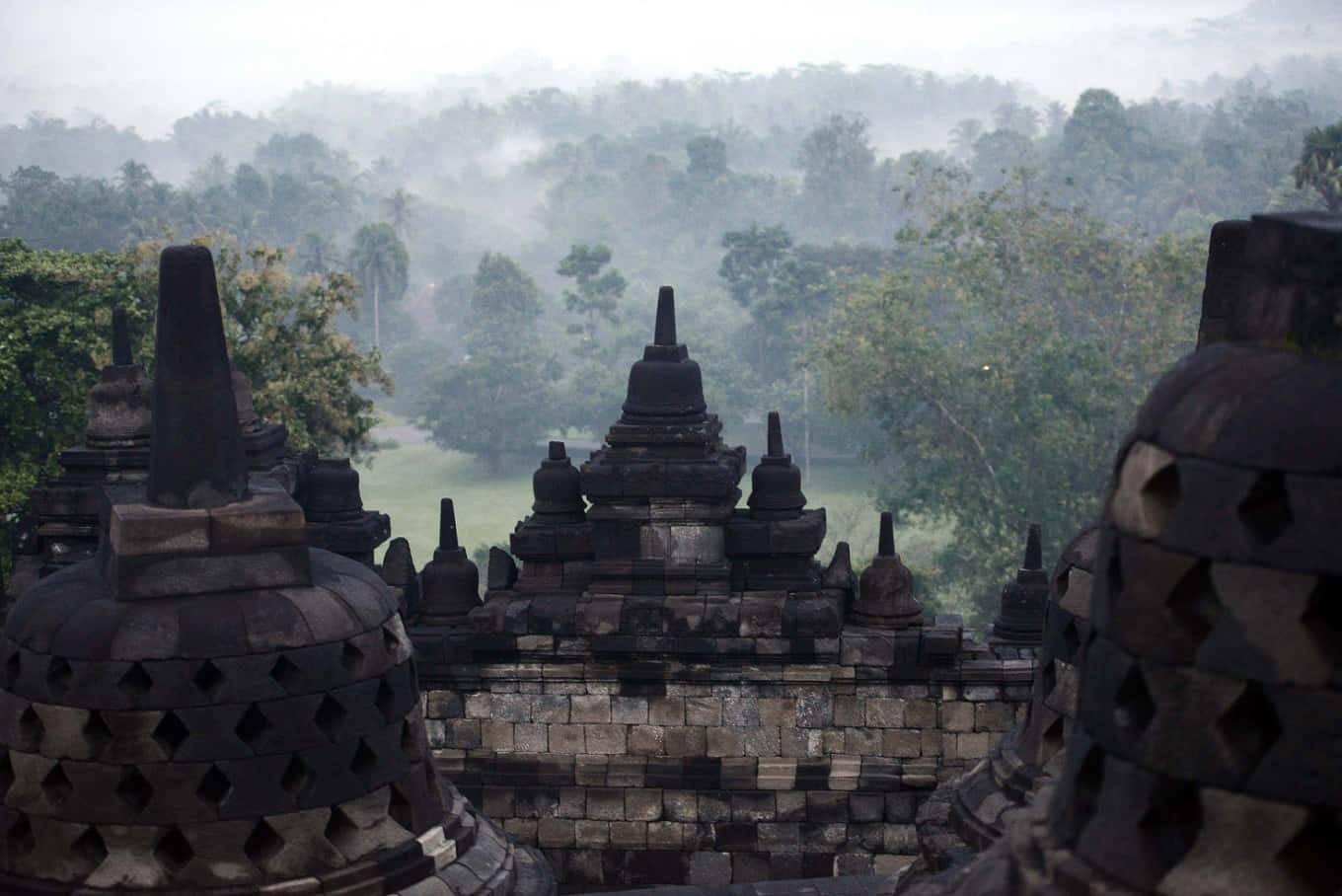 Borobudur Temple Trees Covered In Mist Background