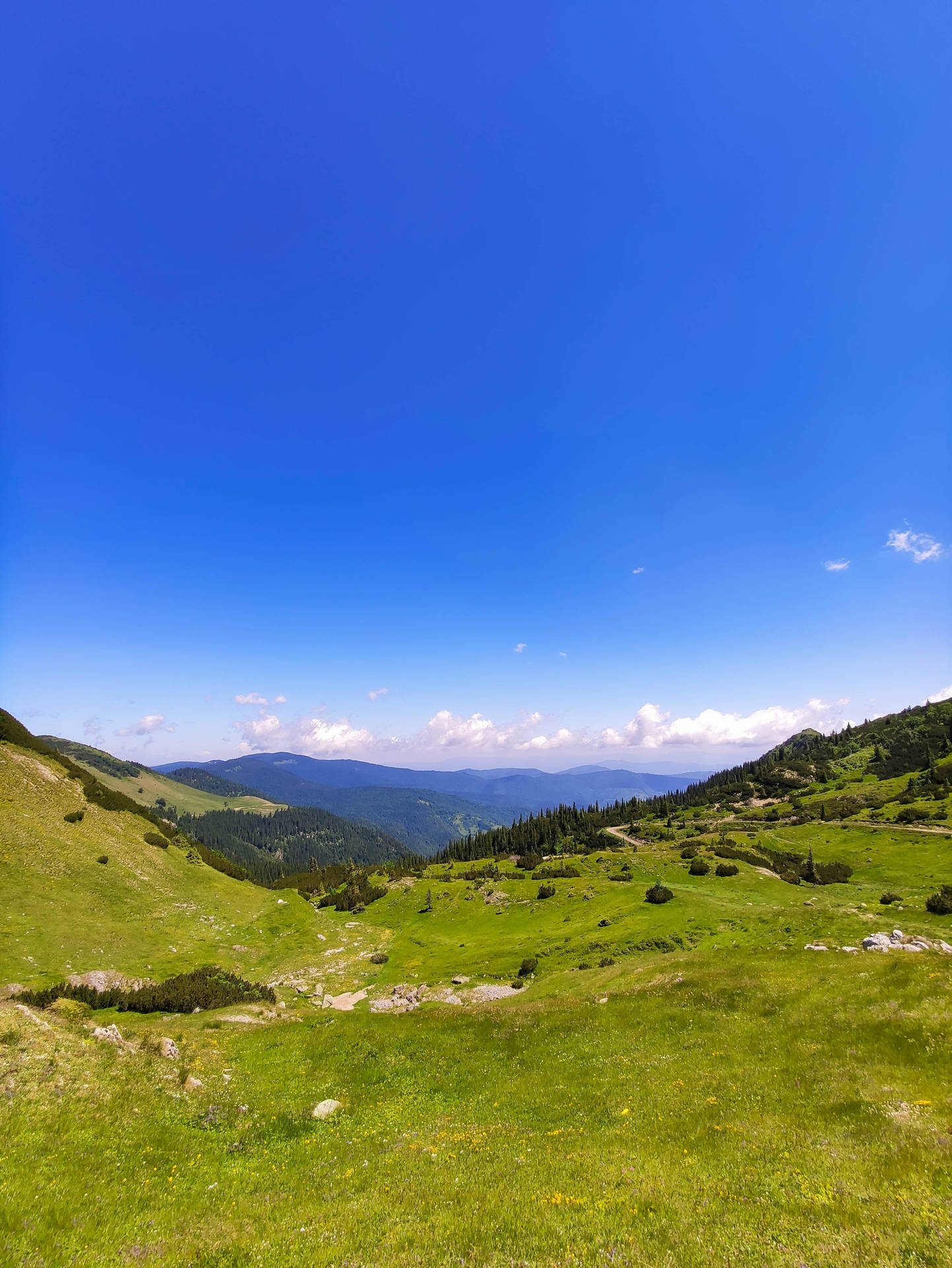 Bosnia And Herzegovina Dinaric Alps Background