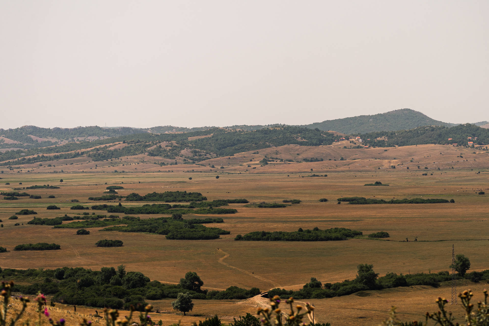 Bosnia And Herzegovina Grasslands Background