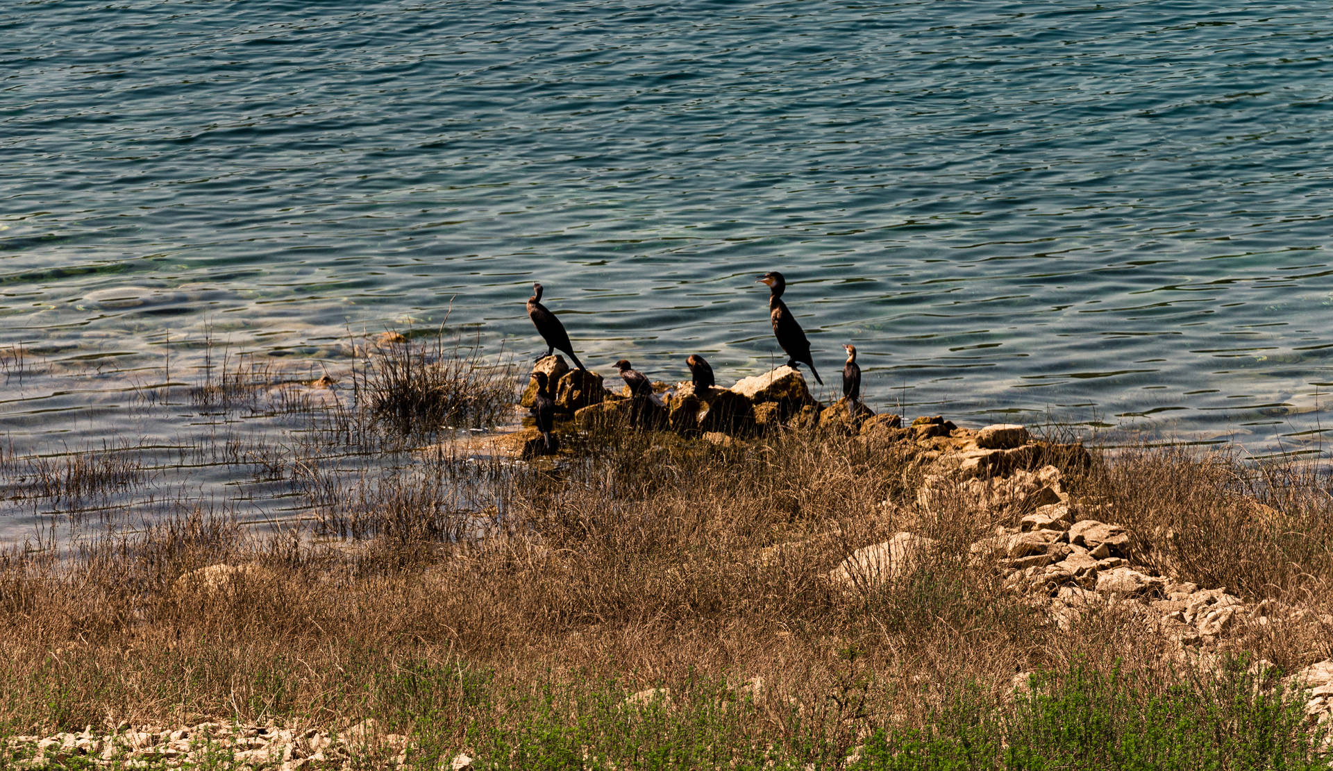 Bosnia And Herzegovina Water Rails