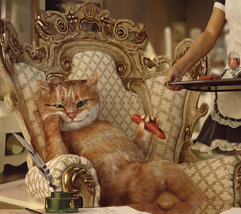 Boss Cat On Fancy Sofa Background