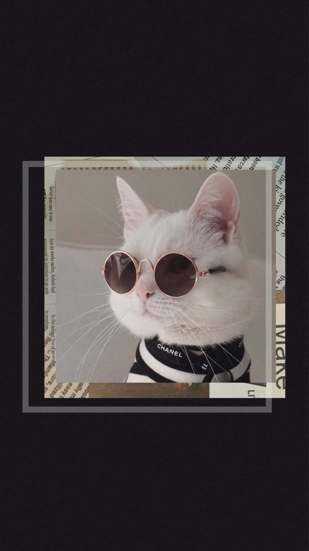 Boss Cat With Sunglasses