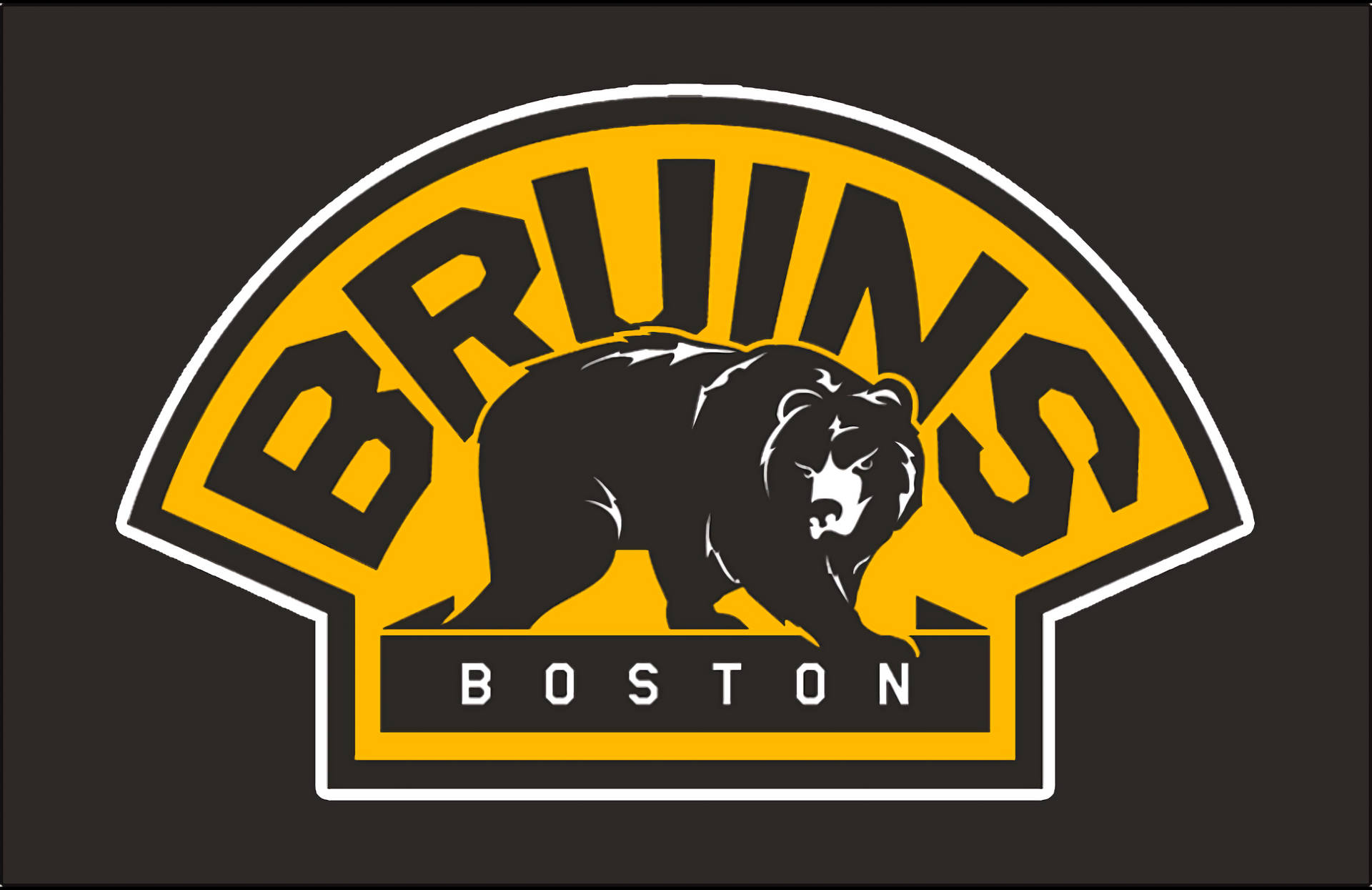 Boston Bruins Black Bear Background