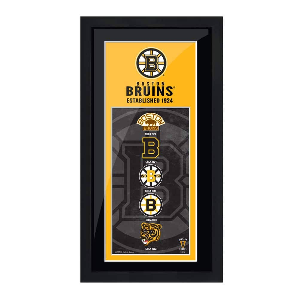 Boston Bruins Logo Evolution