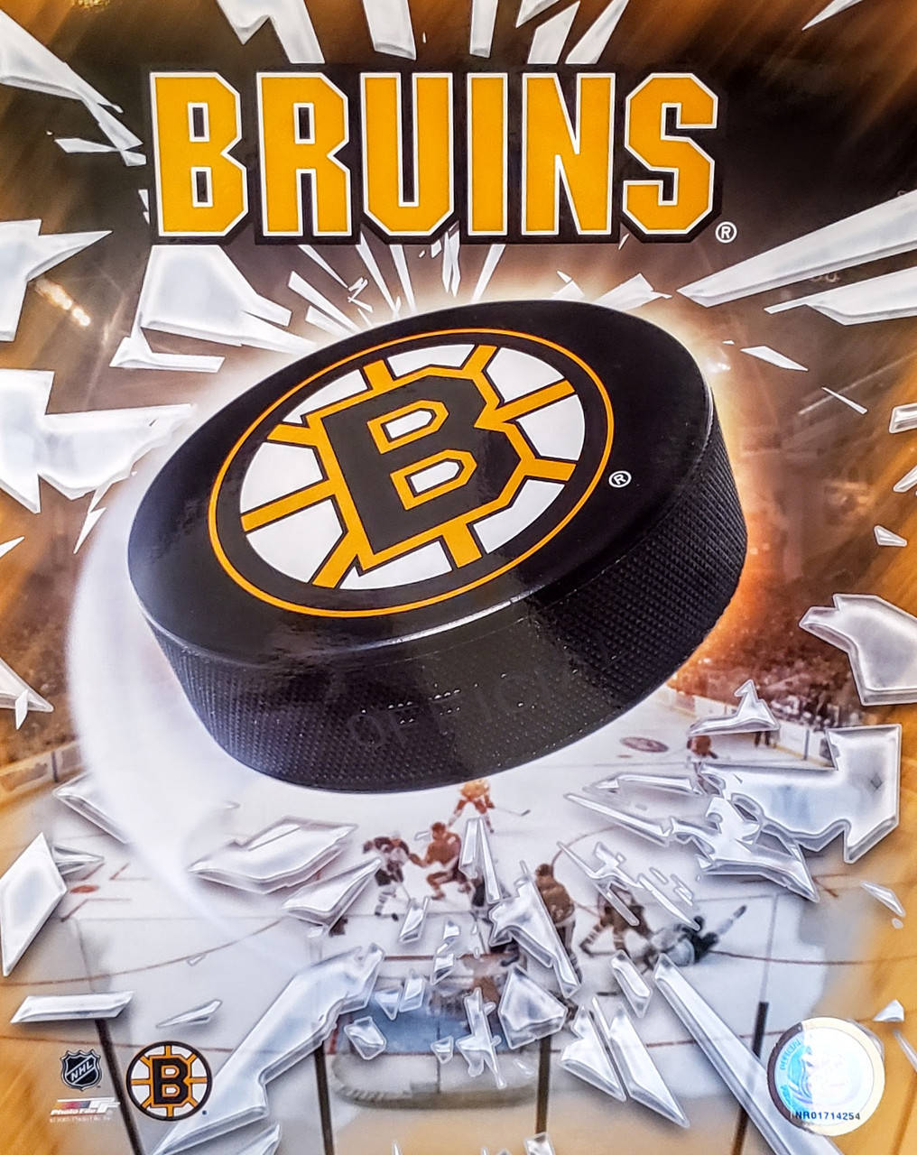 Boston Bruins Logo Hockey Puck