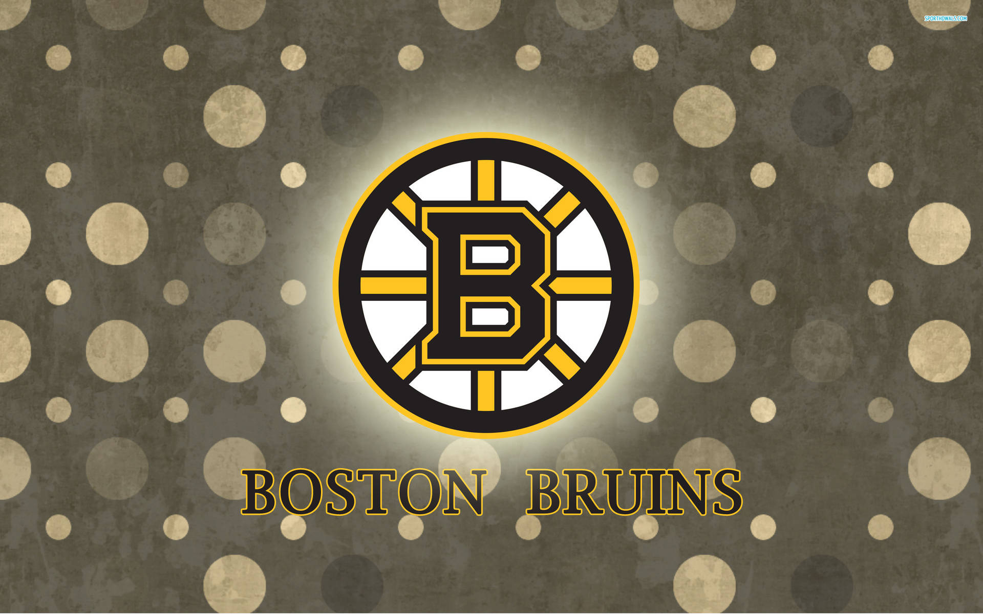 Boston Bruins Logo Polka Dot