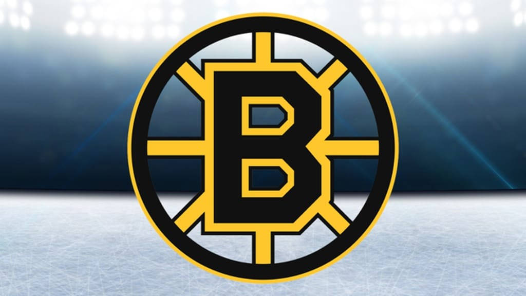 Boston Bruins Logo Rink Background