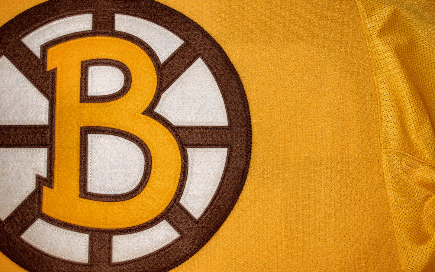 Boston Bruins T-shirt Background
