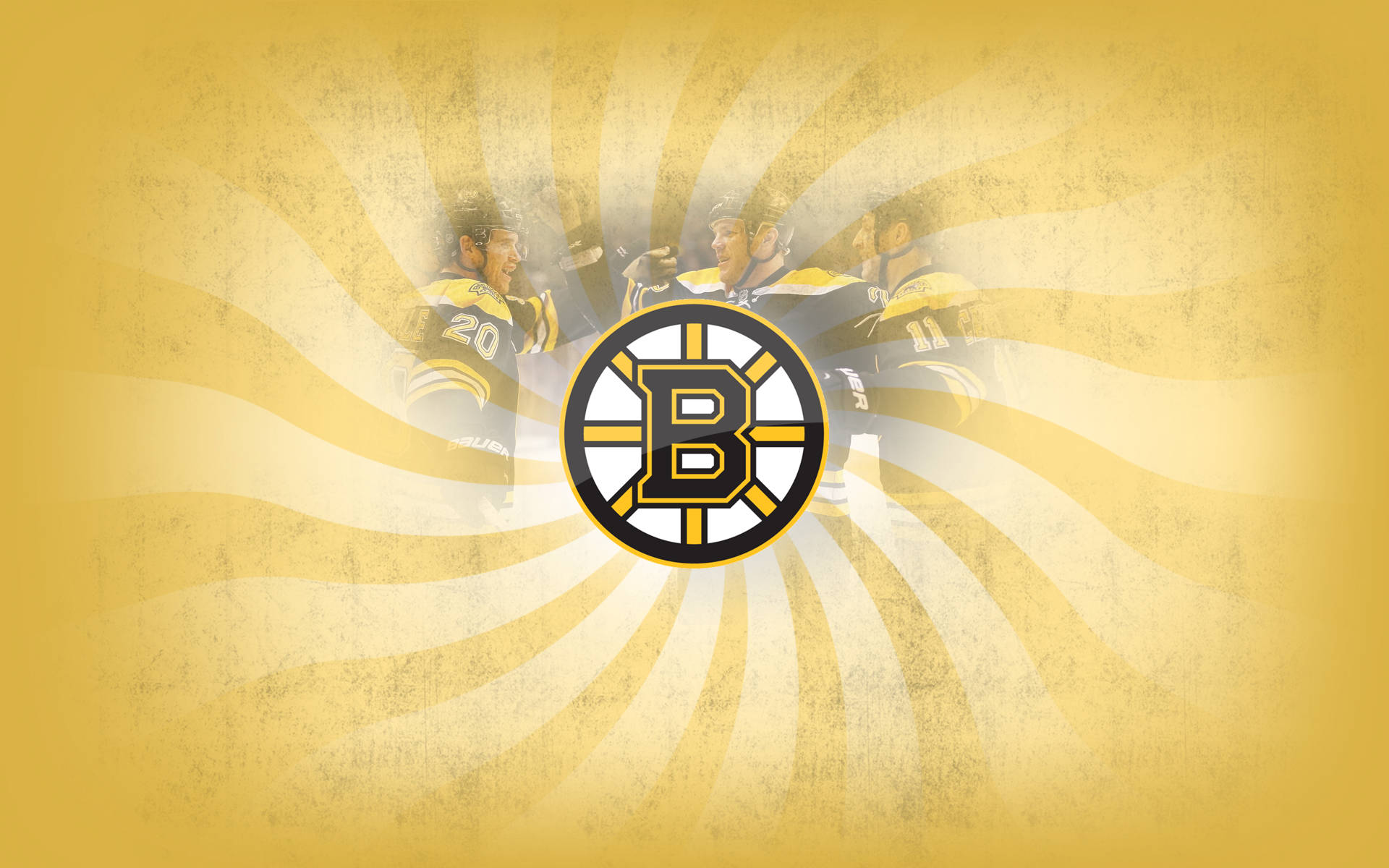 Boston Bruins Team Background