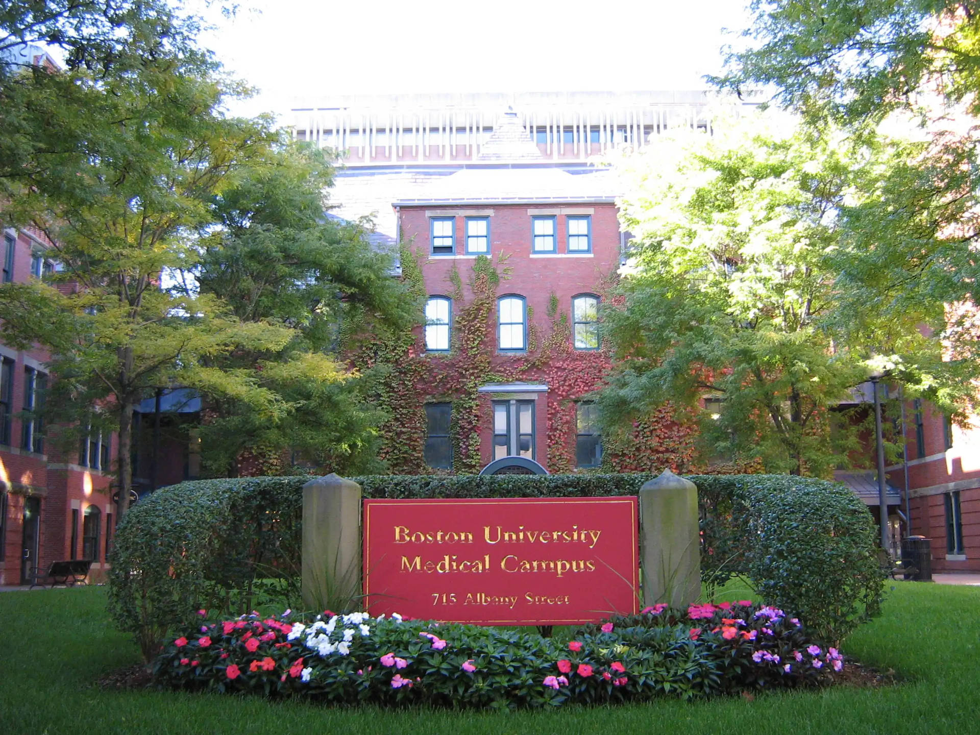 Boston University Medical Campus Sign Background