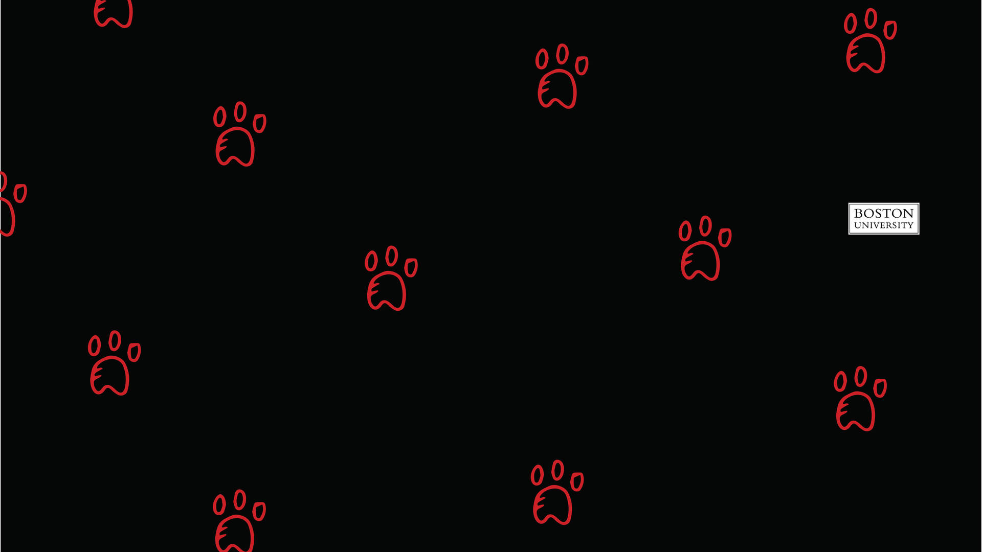 Boston University Red Paw Prints On Black Background