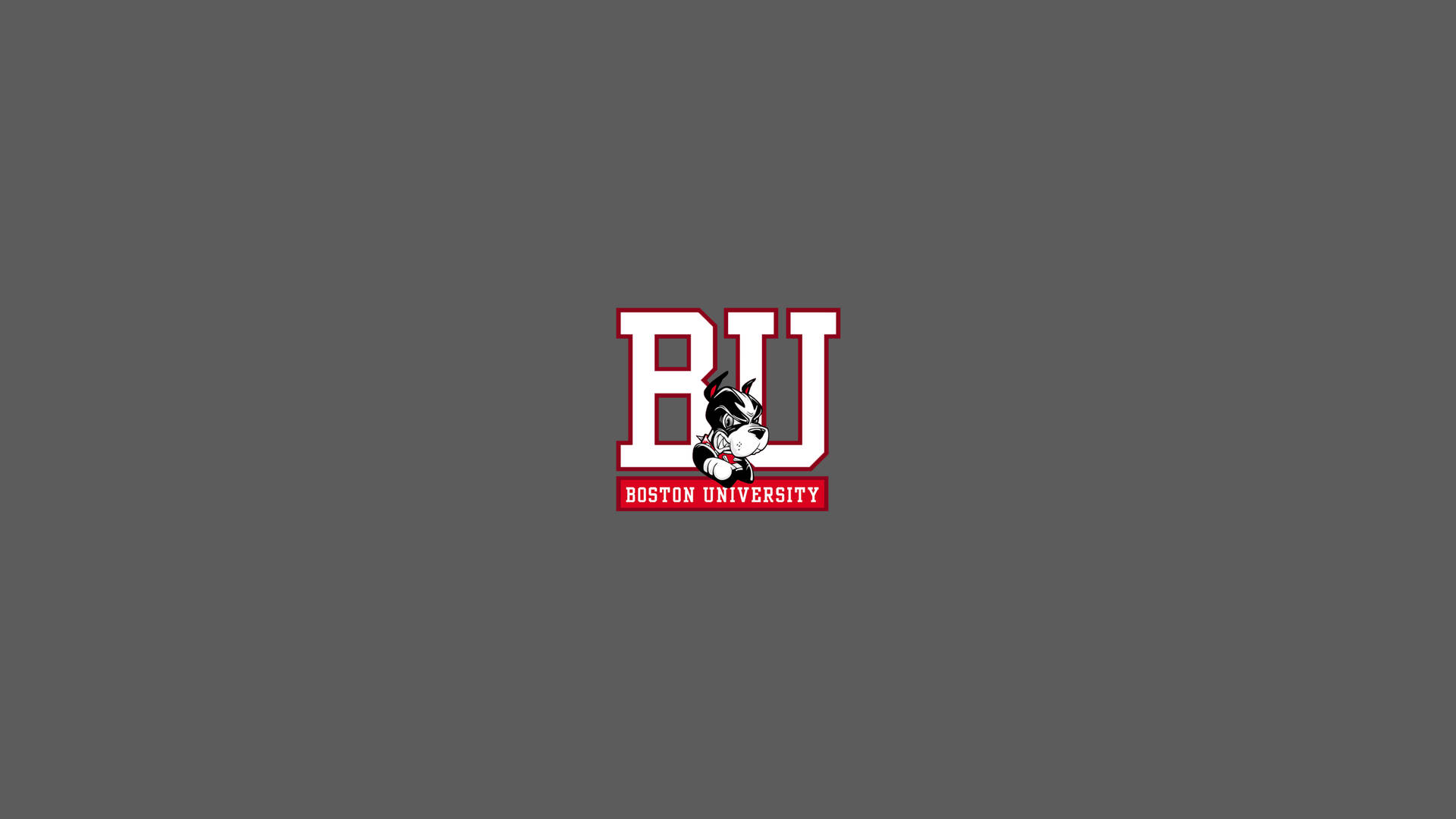 Boston University Terriers On Gray Background