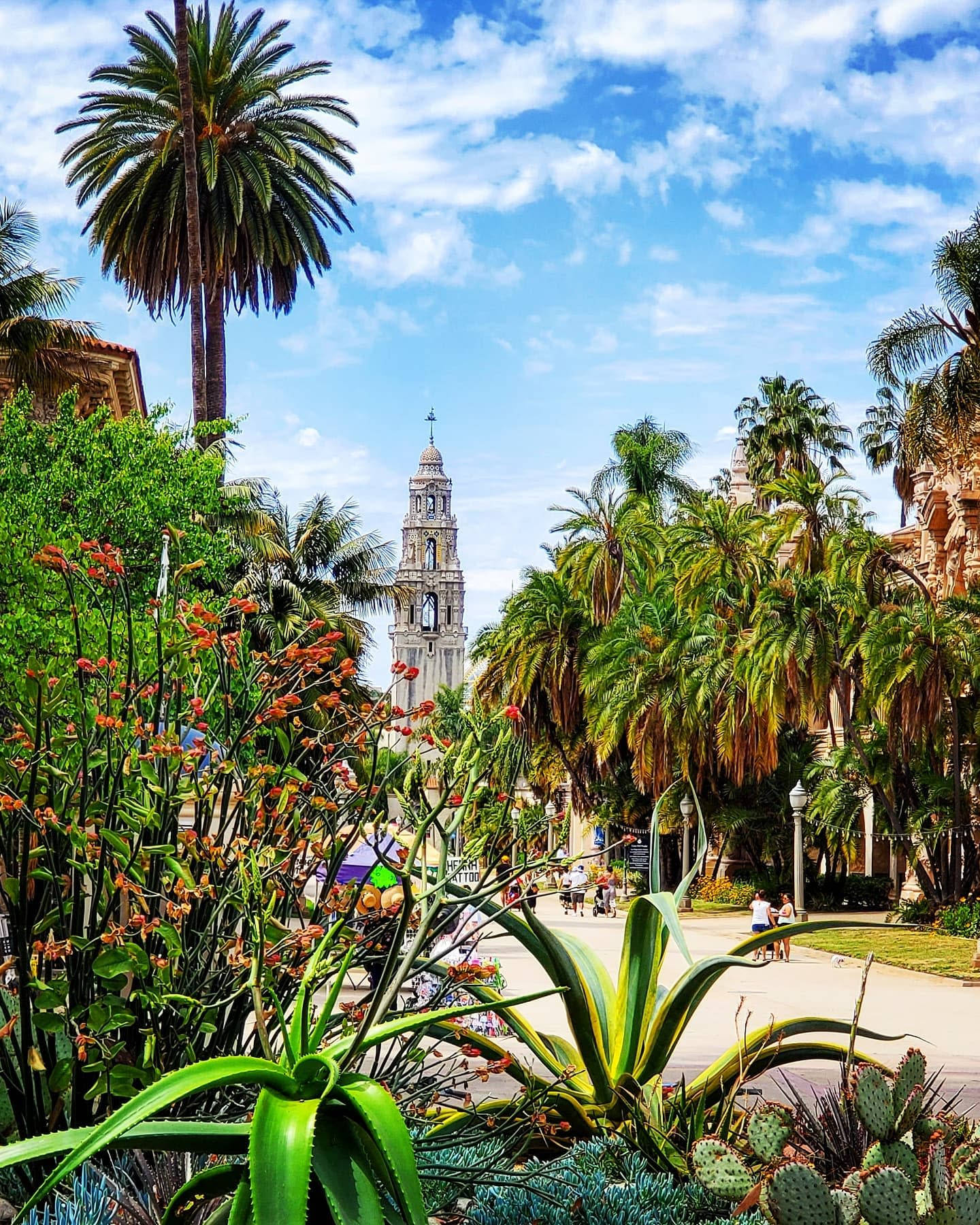 Botanic Garden At Balboa Park Background