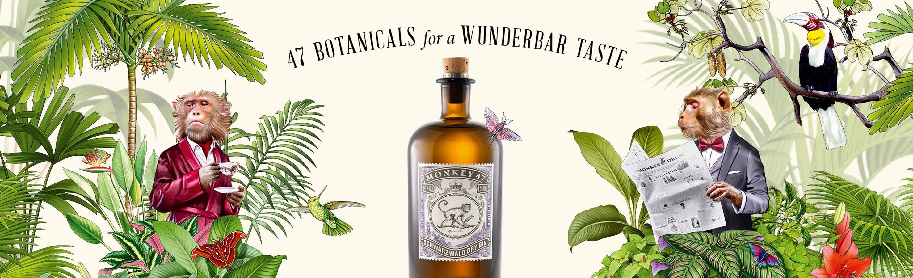 Botanical Ad Monkey 47 Gin Background