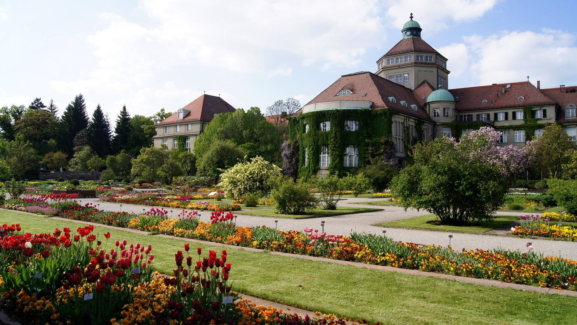 Botanical Garden In Munich Background