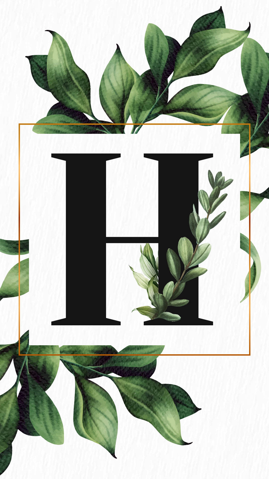 Botanical Letter H Background