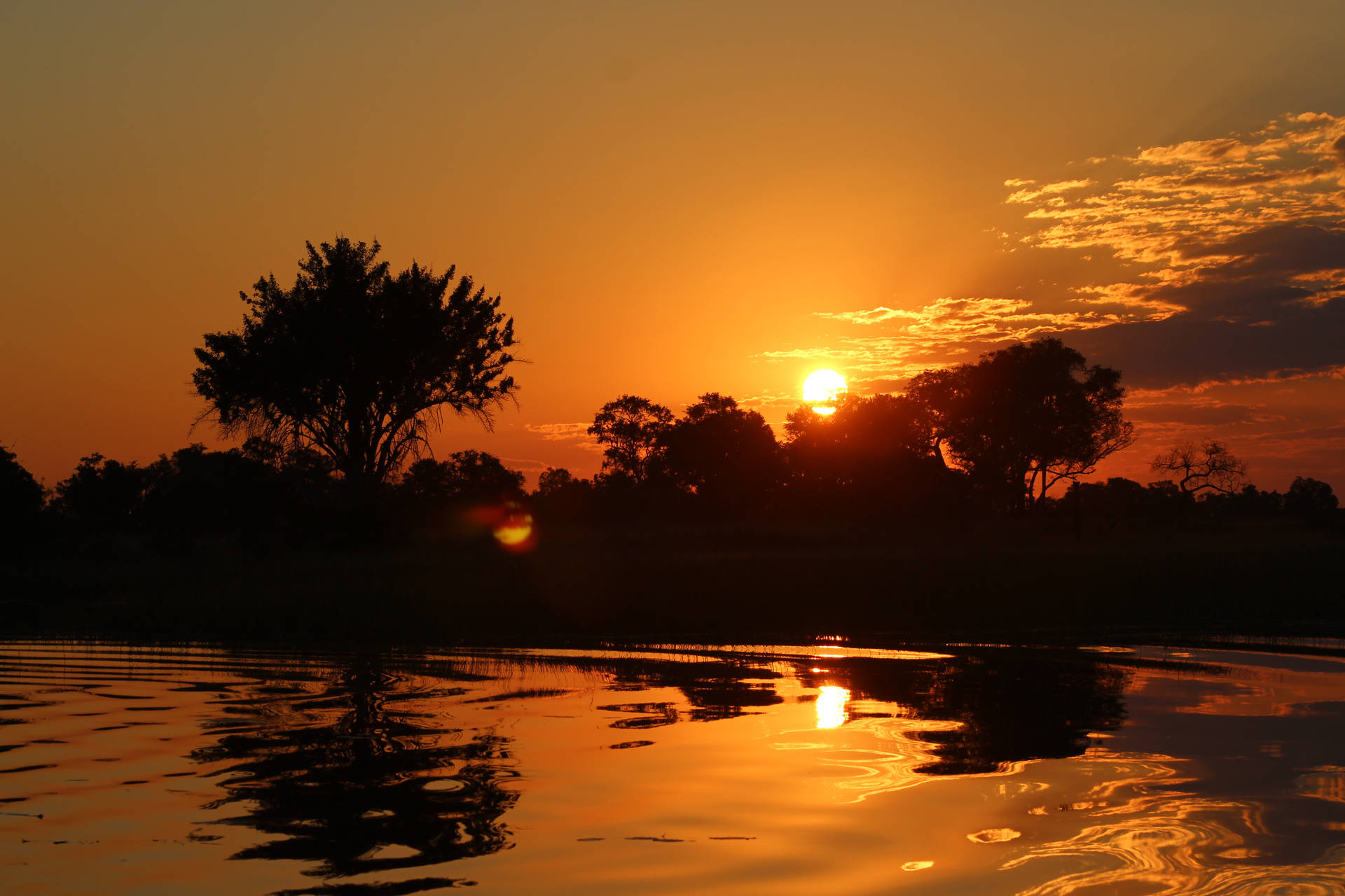 Botswana Sunset Trees Background