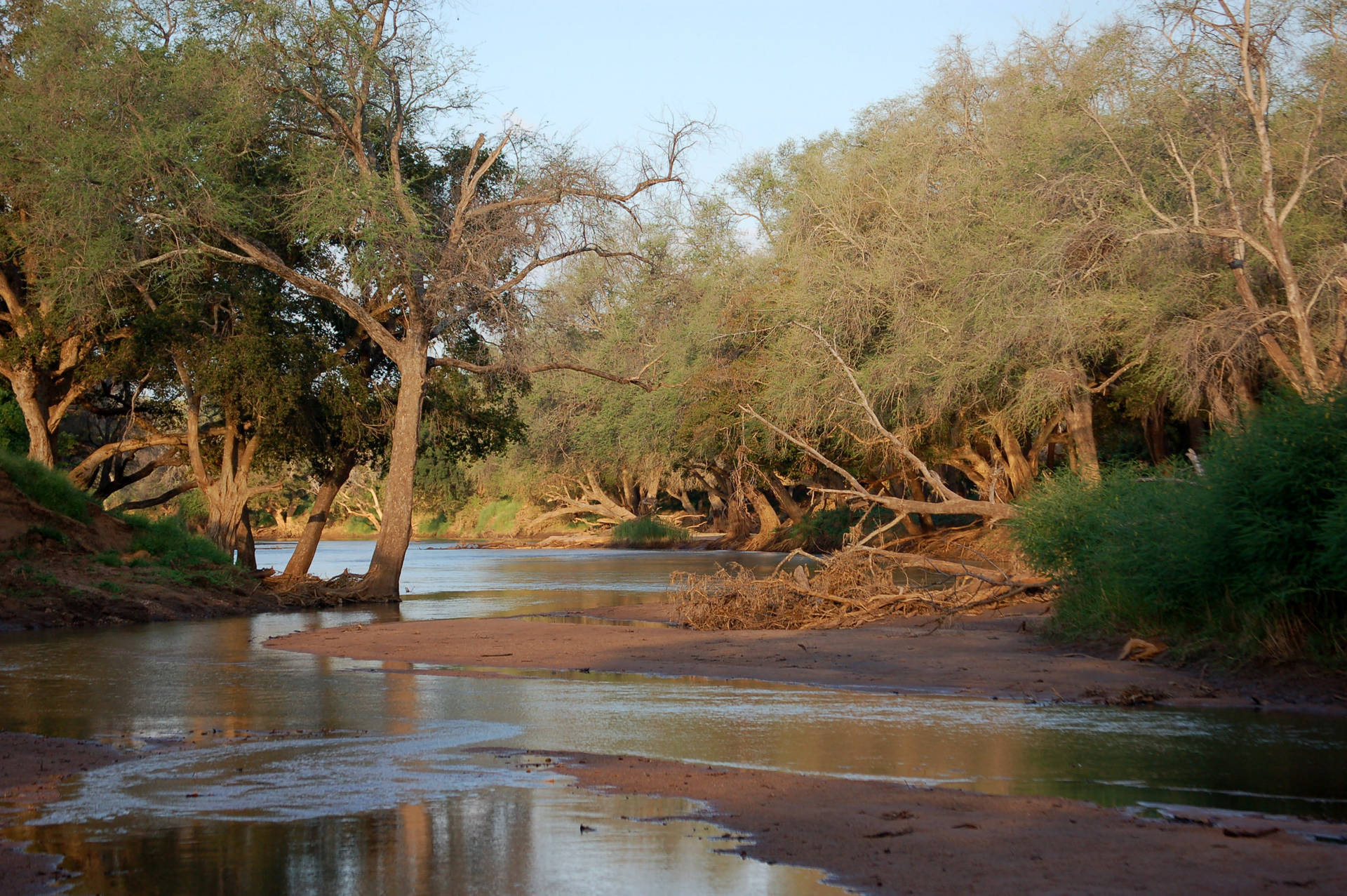 Botswana Tuli Wilderness