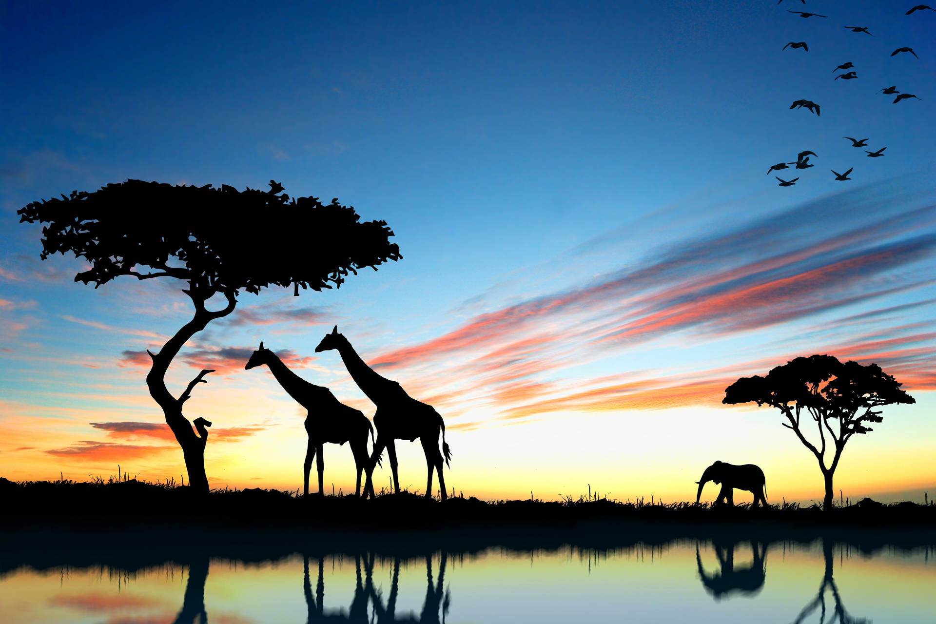 Botswana Wildlife Silhouettes Background